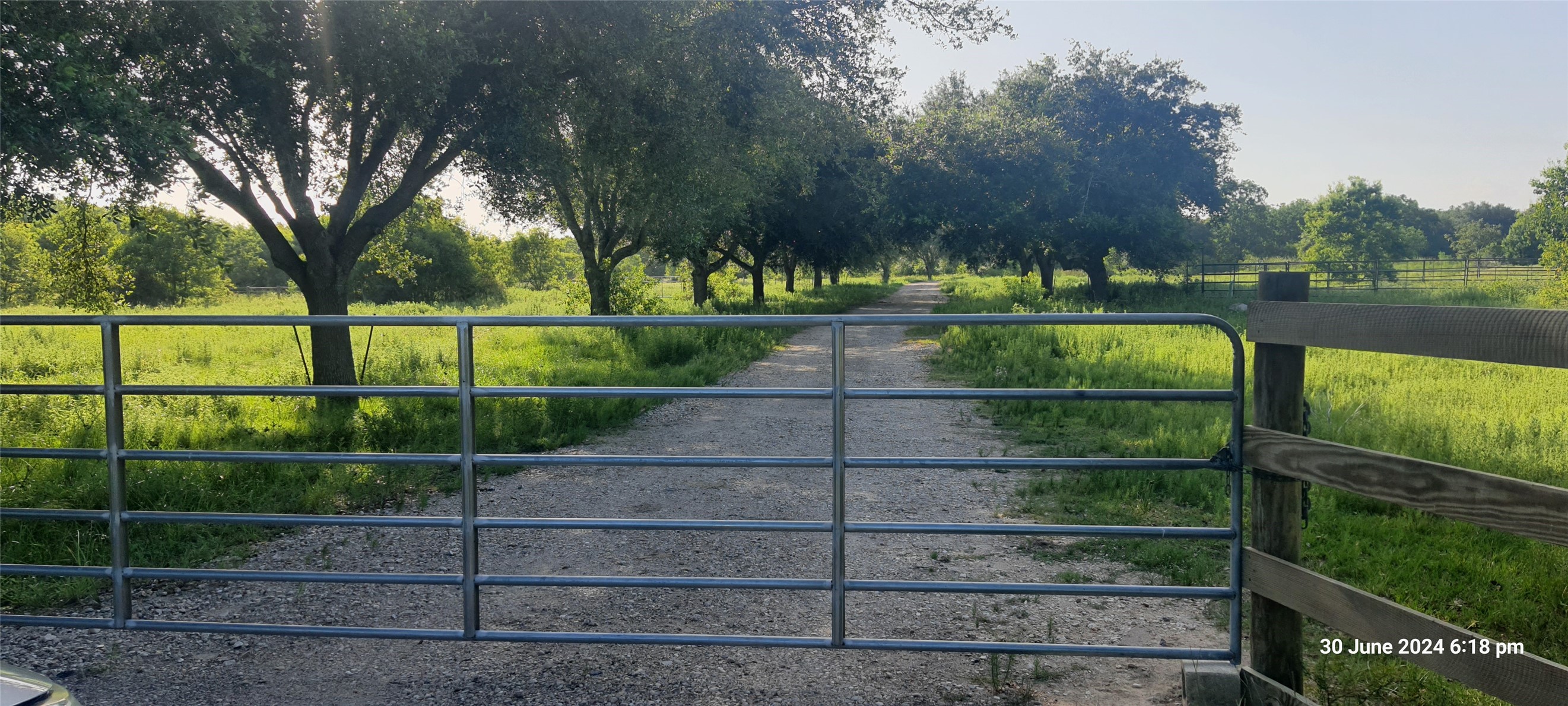 28828 Fm 1462 Road, Damon, TX 77430