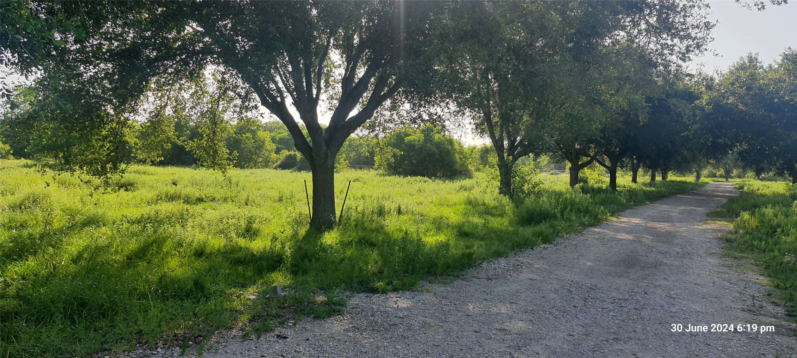 28828 Fm 1462 Road, Damon, TX 77430