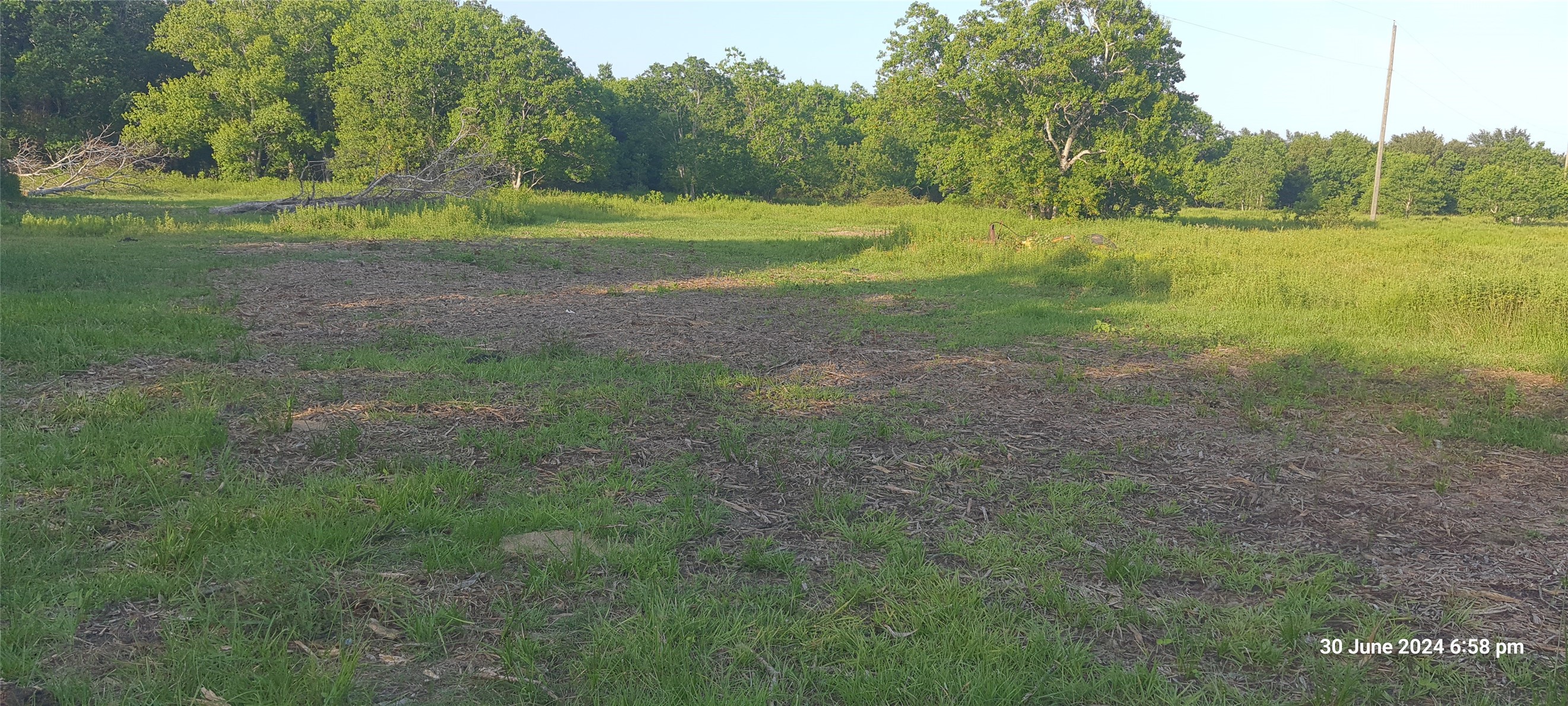 28828 Fm 1462 Road, Damon, TX 77430
