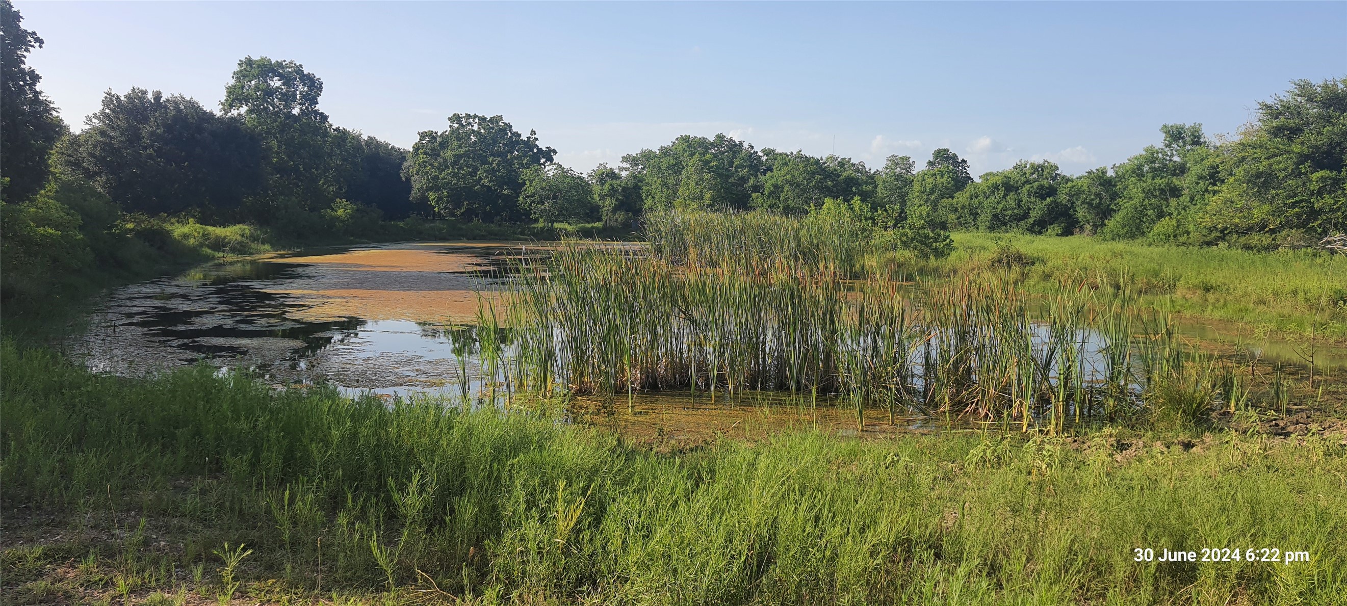 28828 Fm 1462 Road, Damon, TX 77430