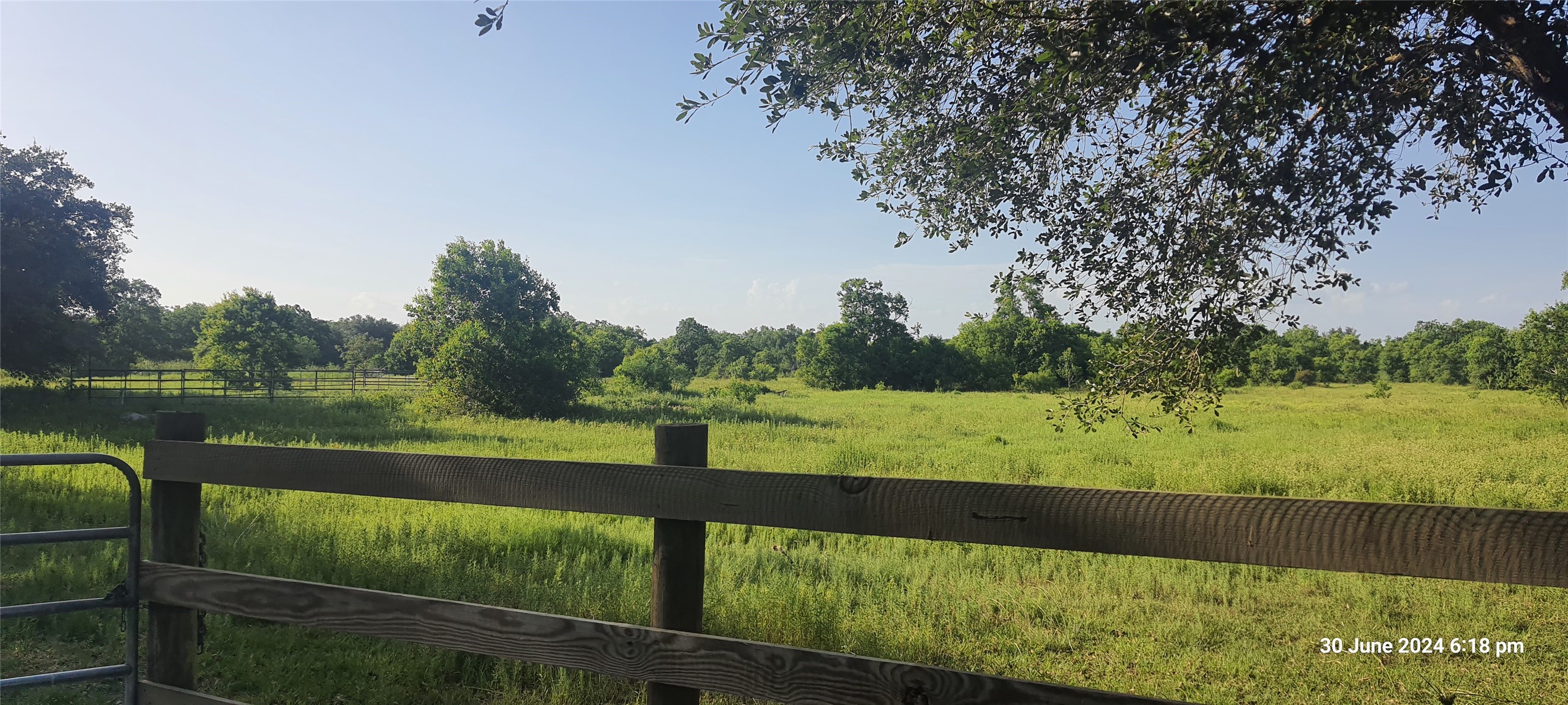 28828 Fm 1462 Road, Damon, TX 77430