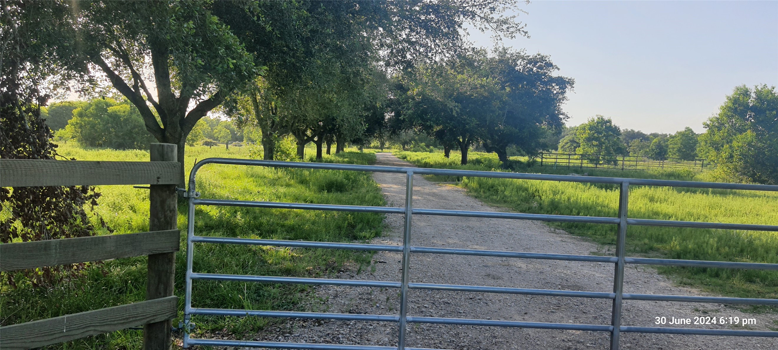 28828 Fm 1462 Road, Damon, TX 77430