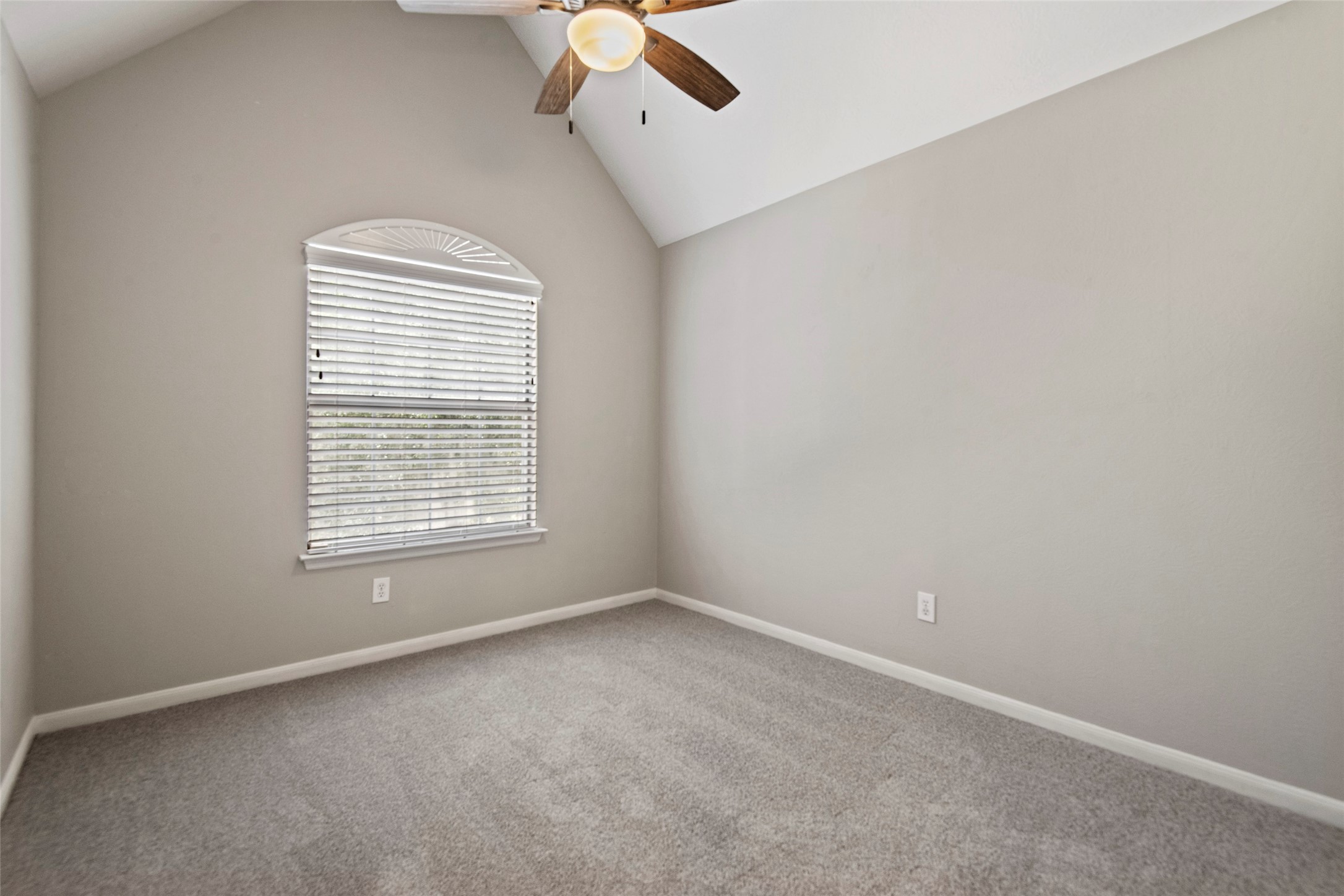 107 S Spiral Vine Circle, The Woodlands, TX 77381