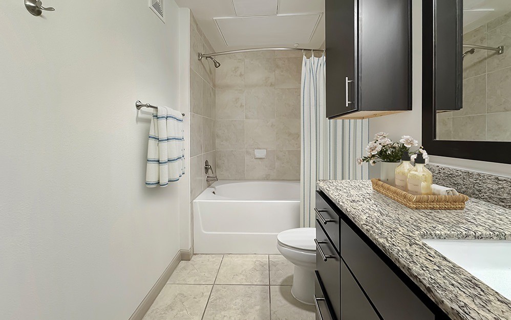 Spa-inspired bathroom featuring granite countertops, sleek cabinetry, contemporary finishes and a spacious tub/shower combo for a clean, polished retreat.