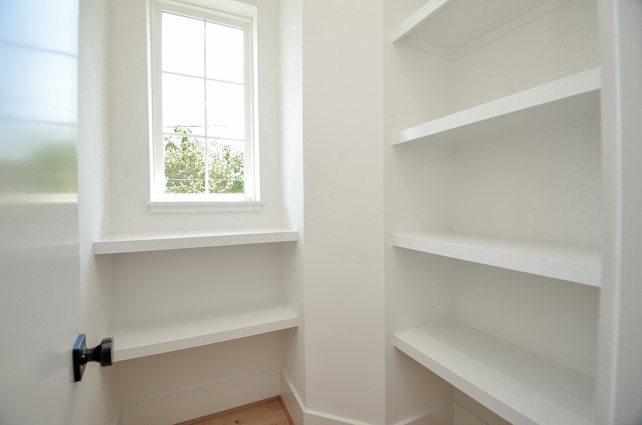 Walk-in pantry with shelving on multiple walls.