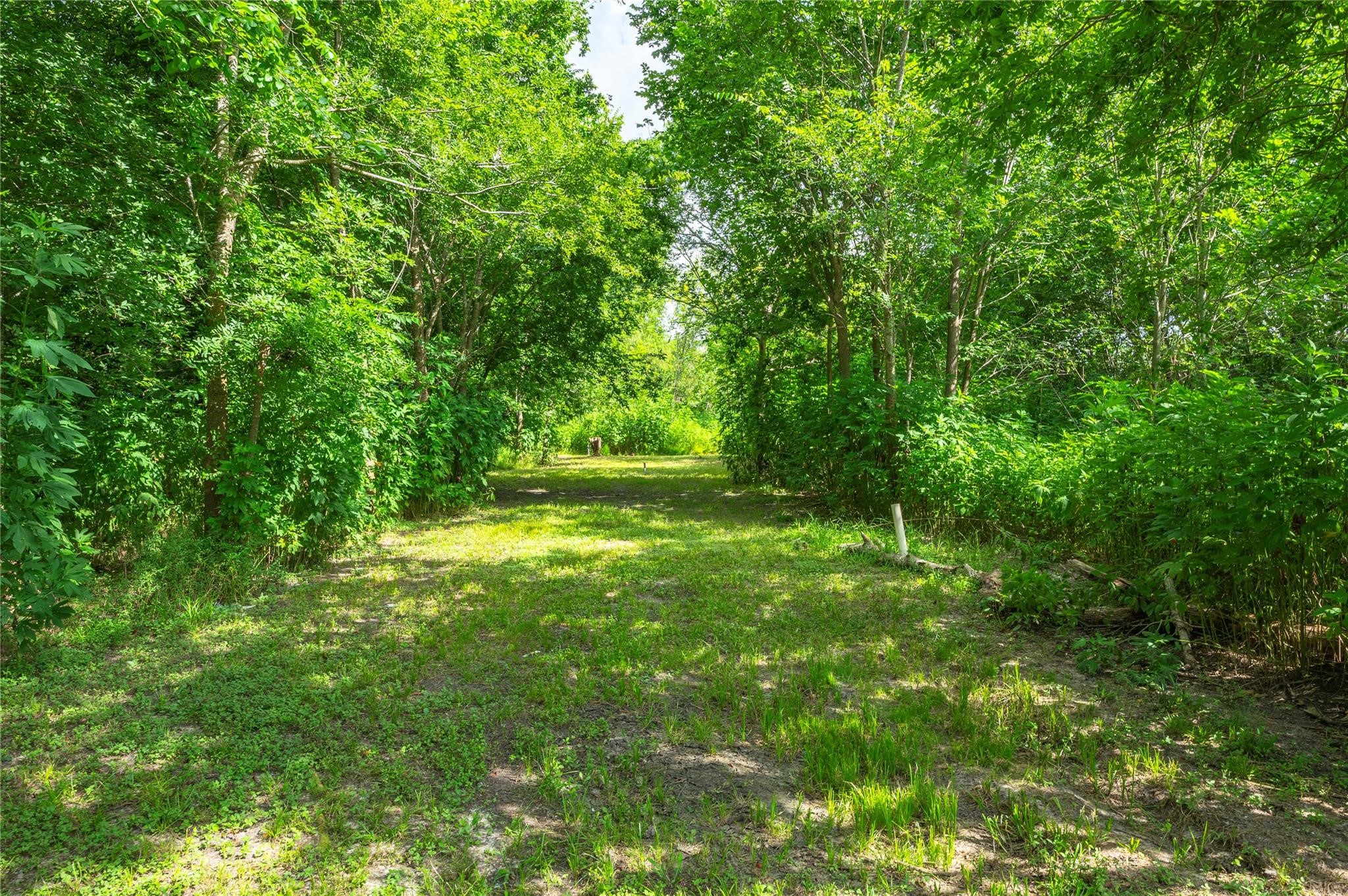 1857 County Road 99, Alvin, TX 77511