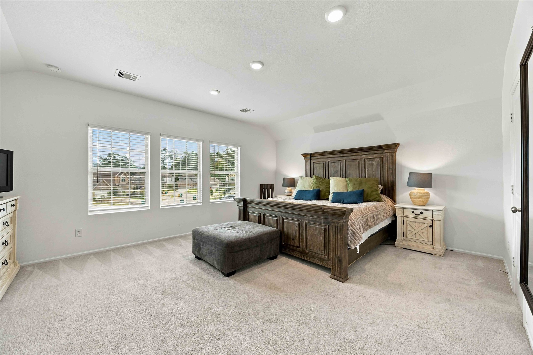 19302 Via Vinovo Court, New Caney, TX 77357