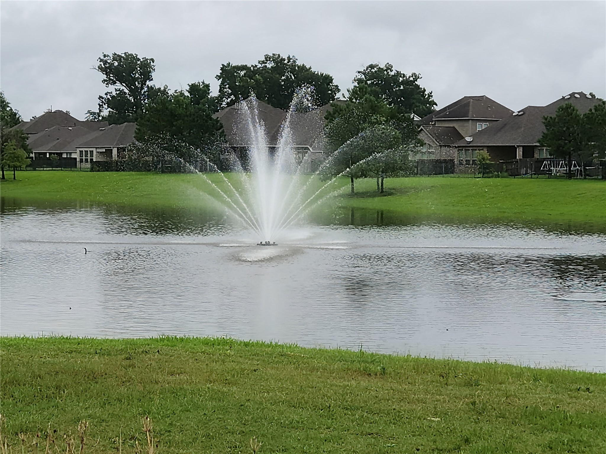 19302 Via Vinovo Court, New Caney, TX 77357