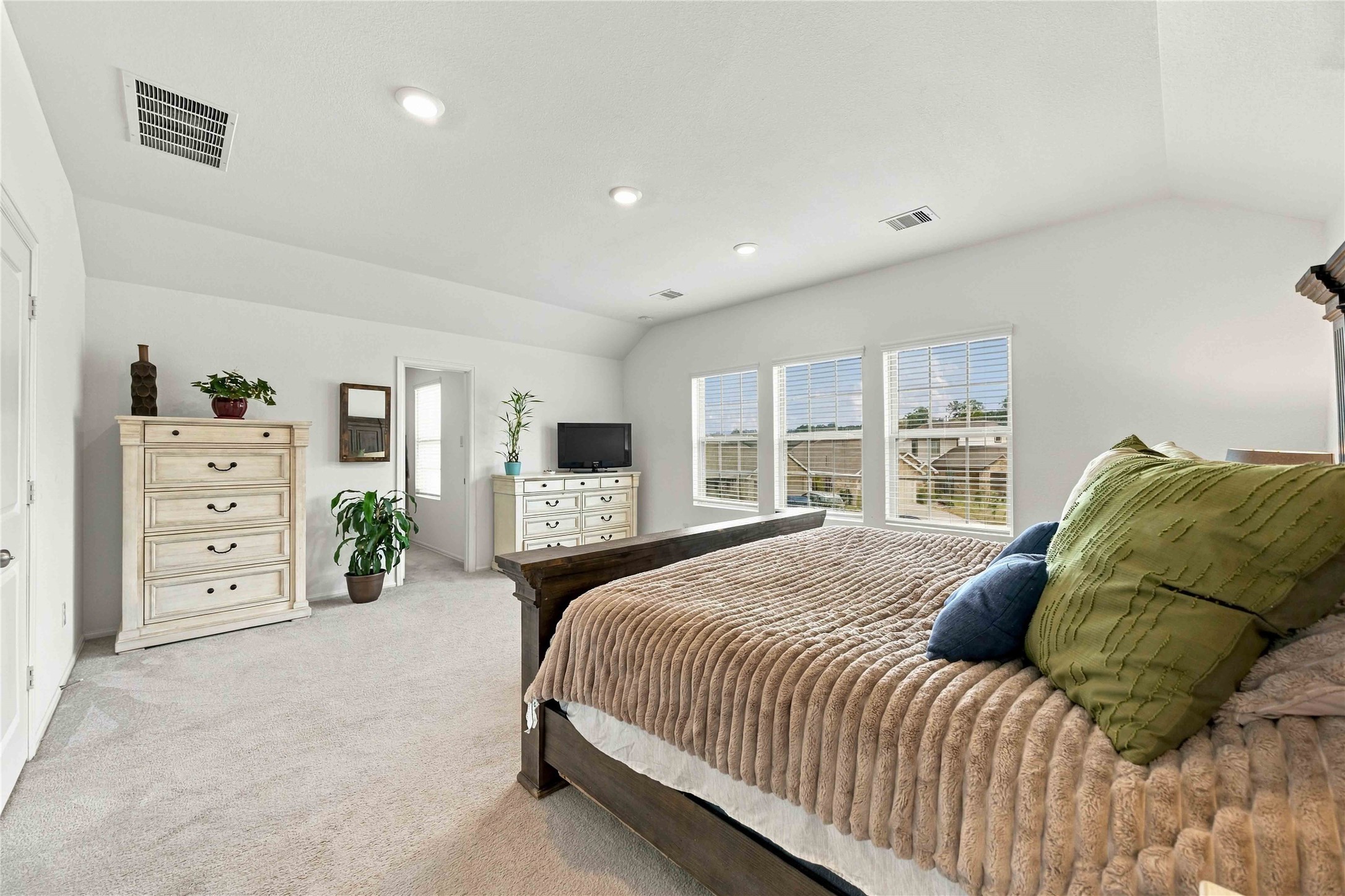 19302 Via Vinovo Court, New Caney, TX 77357