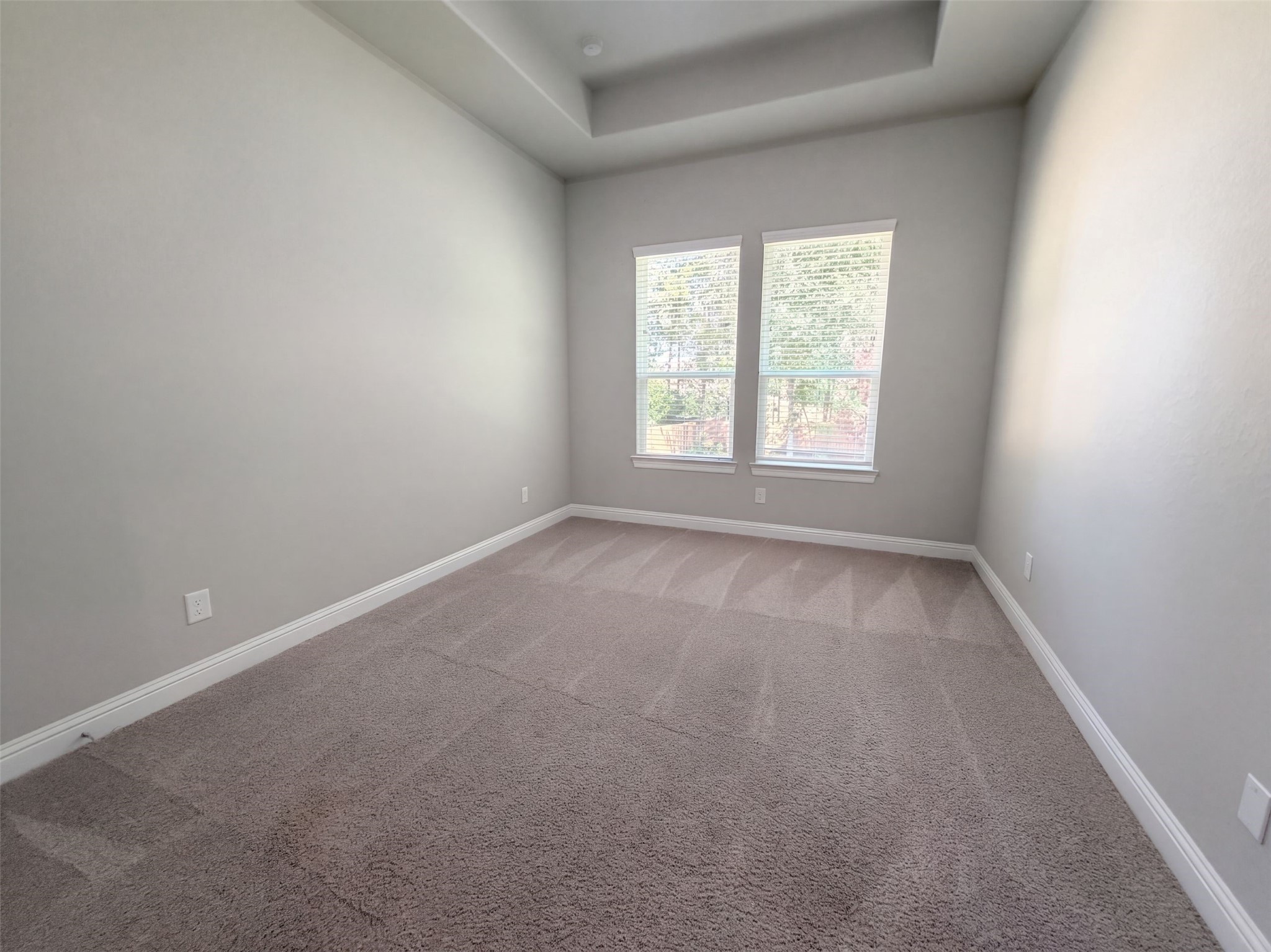 317 Treaty Oak Court, Magnolia, TX 77354