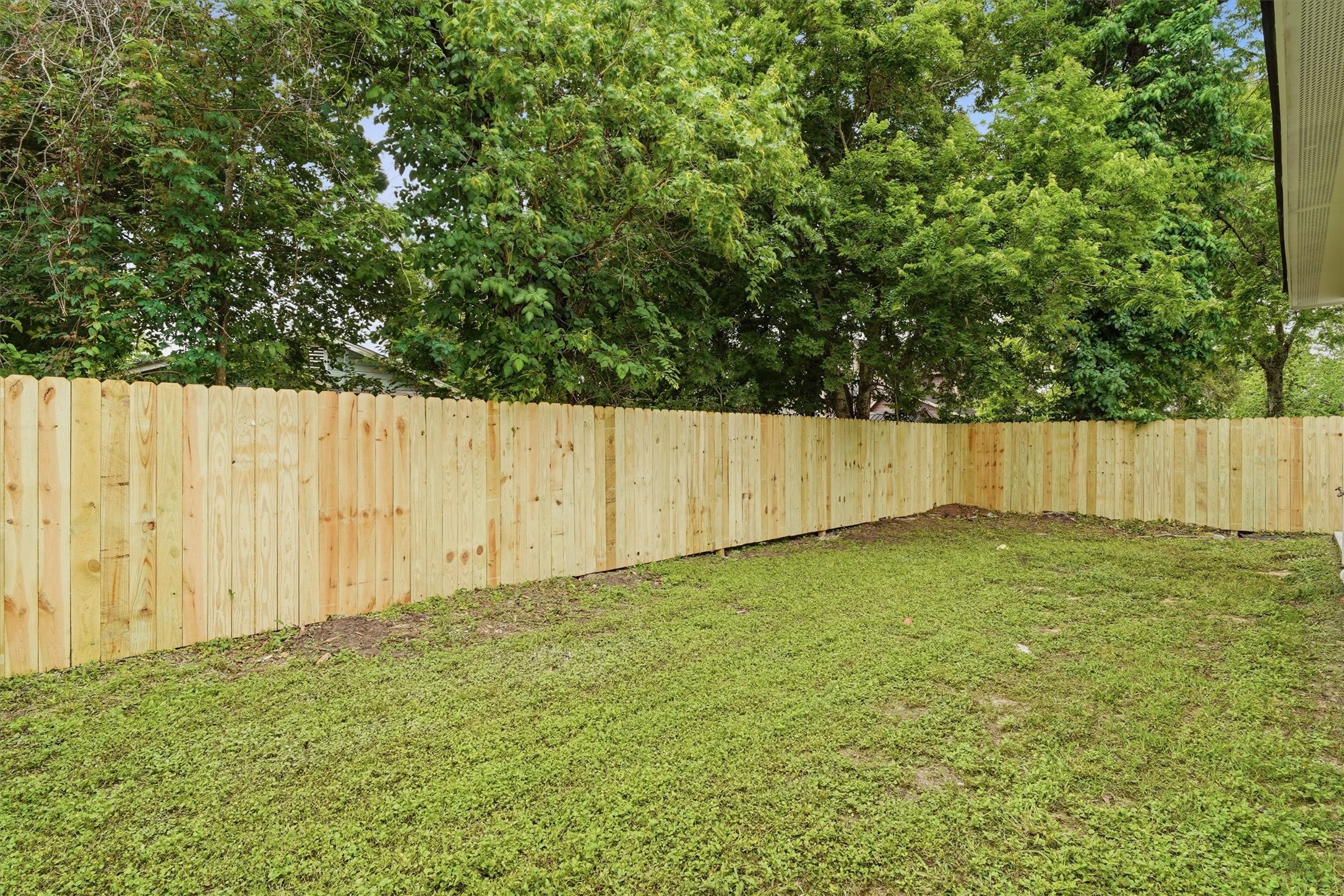 Spacious back yard, brand new privacy fence