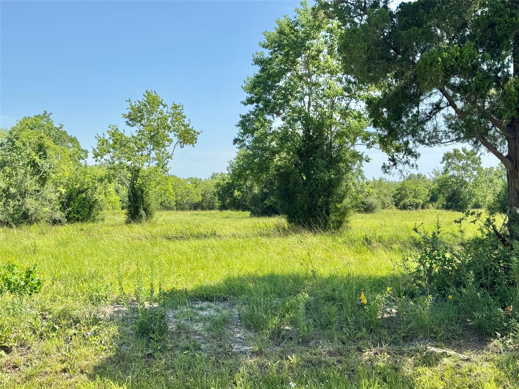 11939 7TH ST, Santa Fe, TX 77510