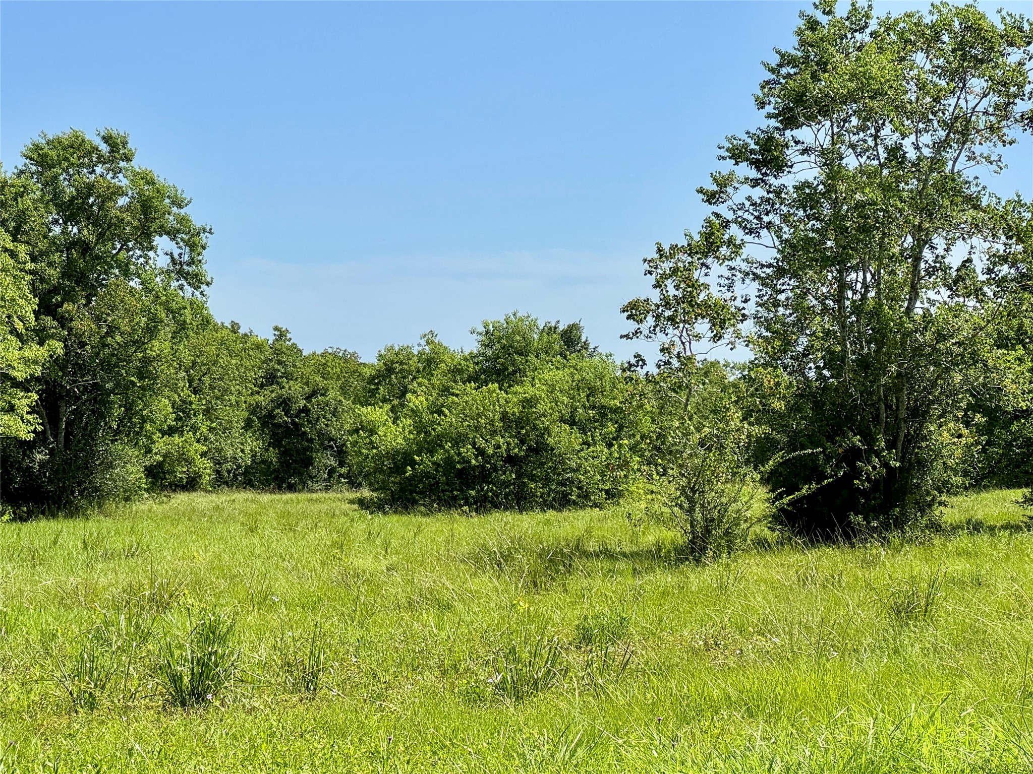 11939 7TH ST, Santa Fe, TX 77510