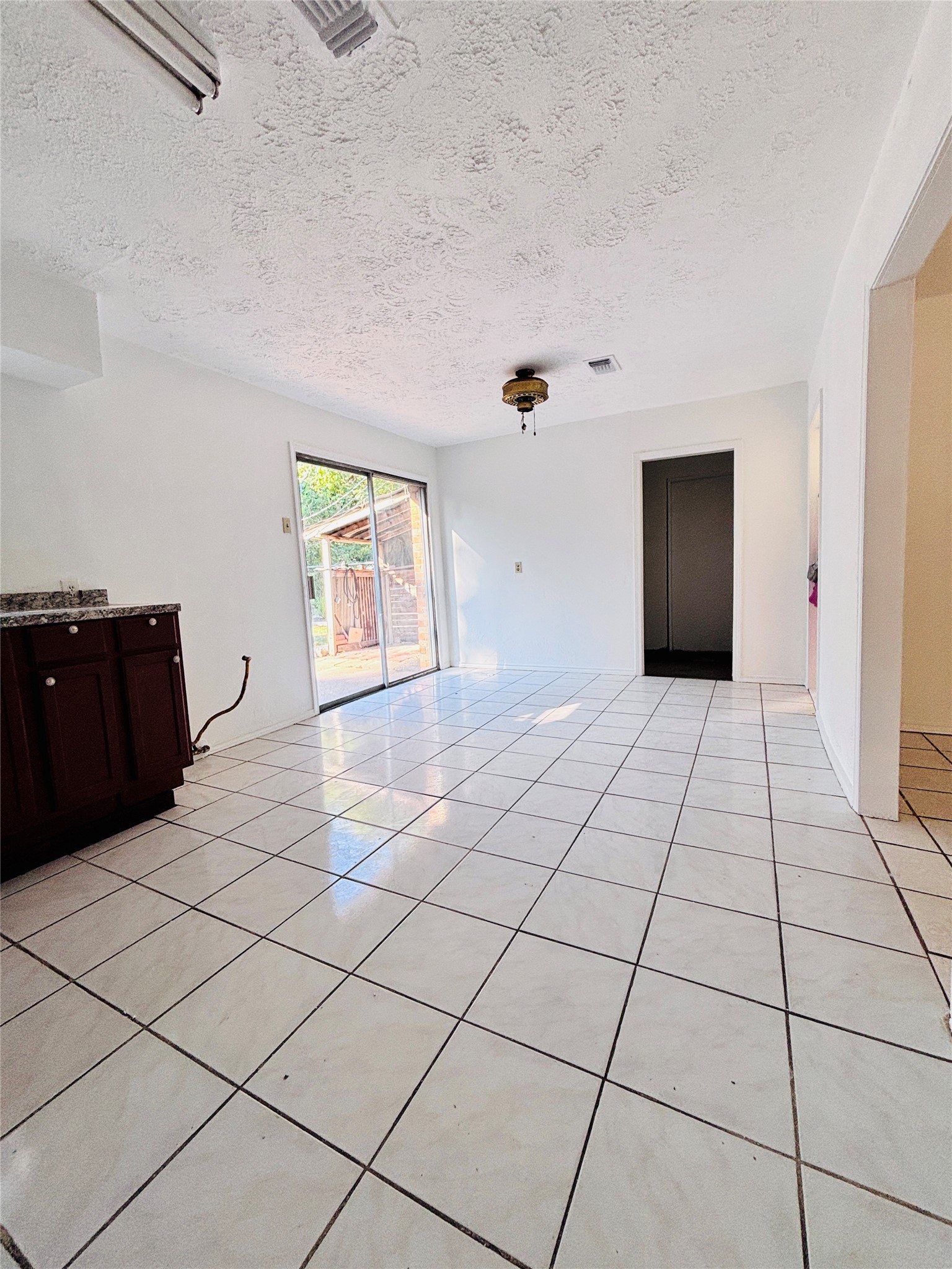 Kitchen and dining area
