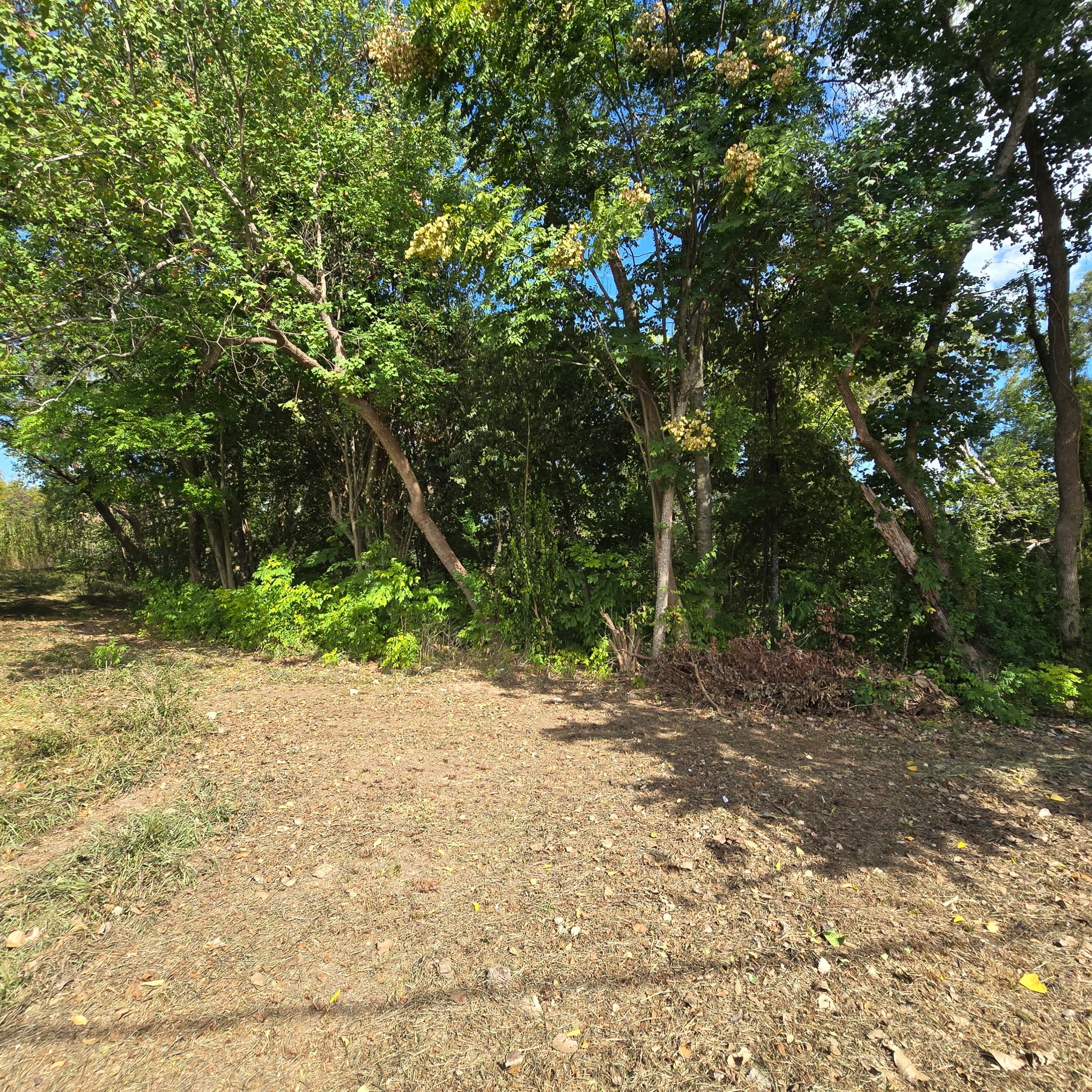 8440 Elrod Street, Houston, TX 77017