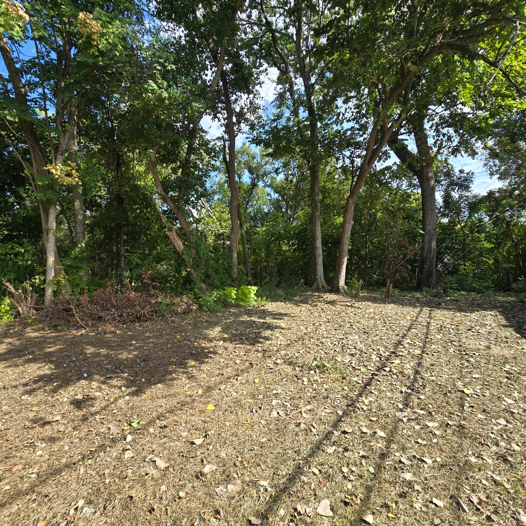 8440 Elrod Street, Houston, TX 77017