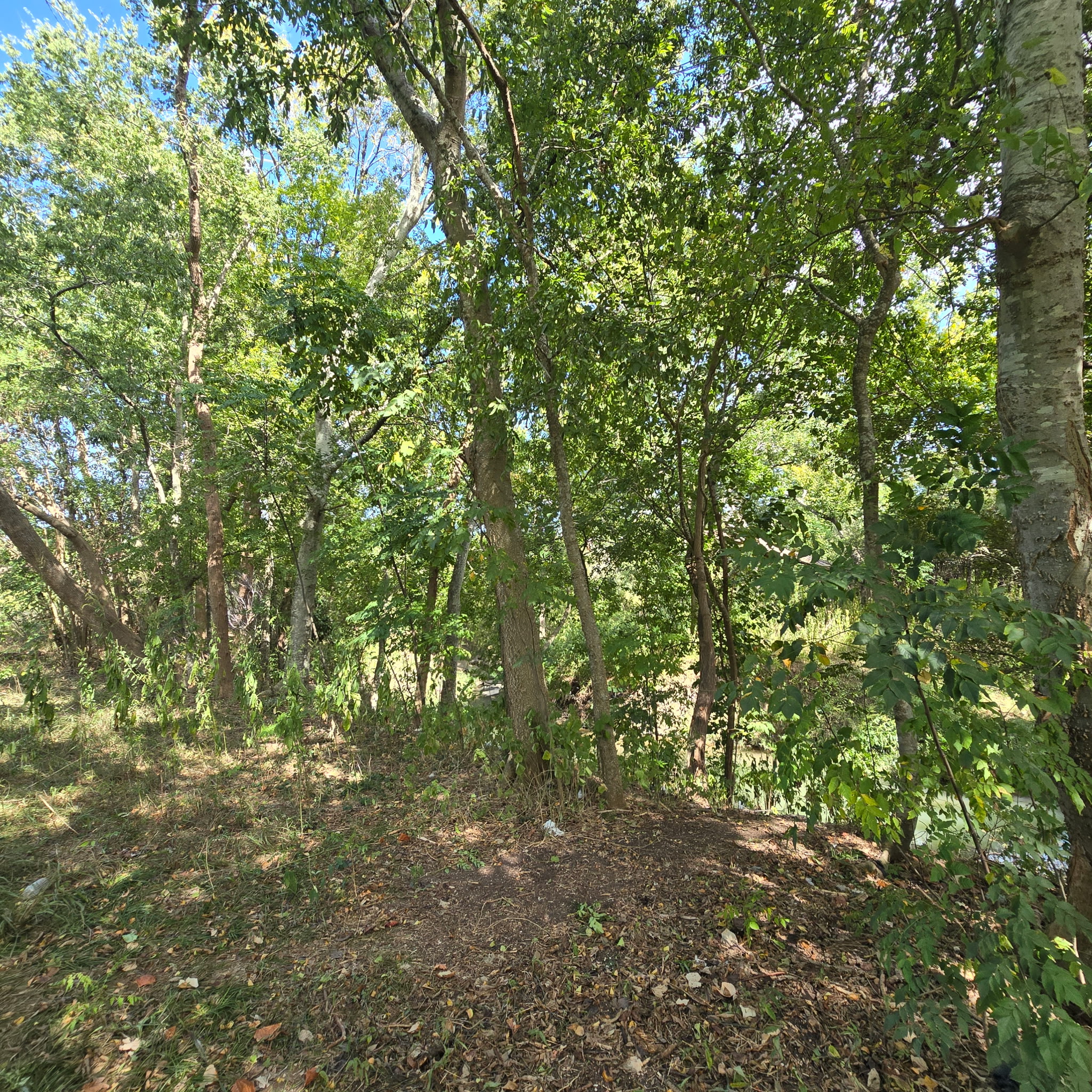 8440 Elrod Street, Houston, TX 77017
