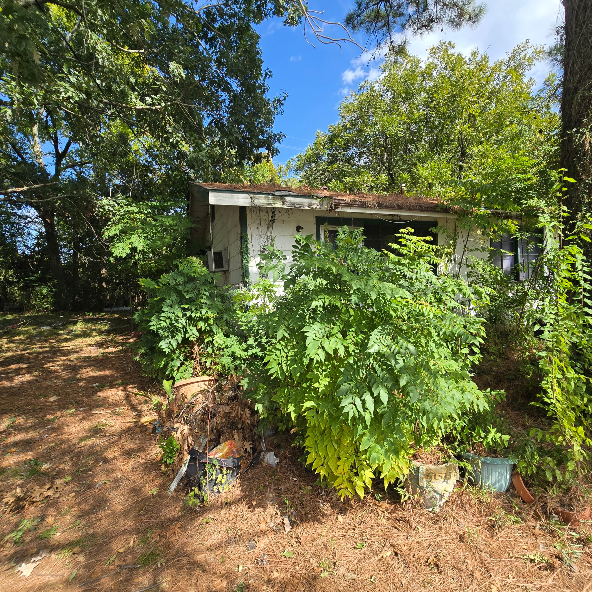 8440 Elrod Street, Houston, TX 77017