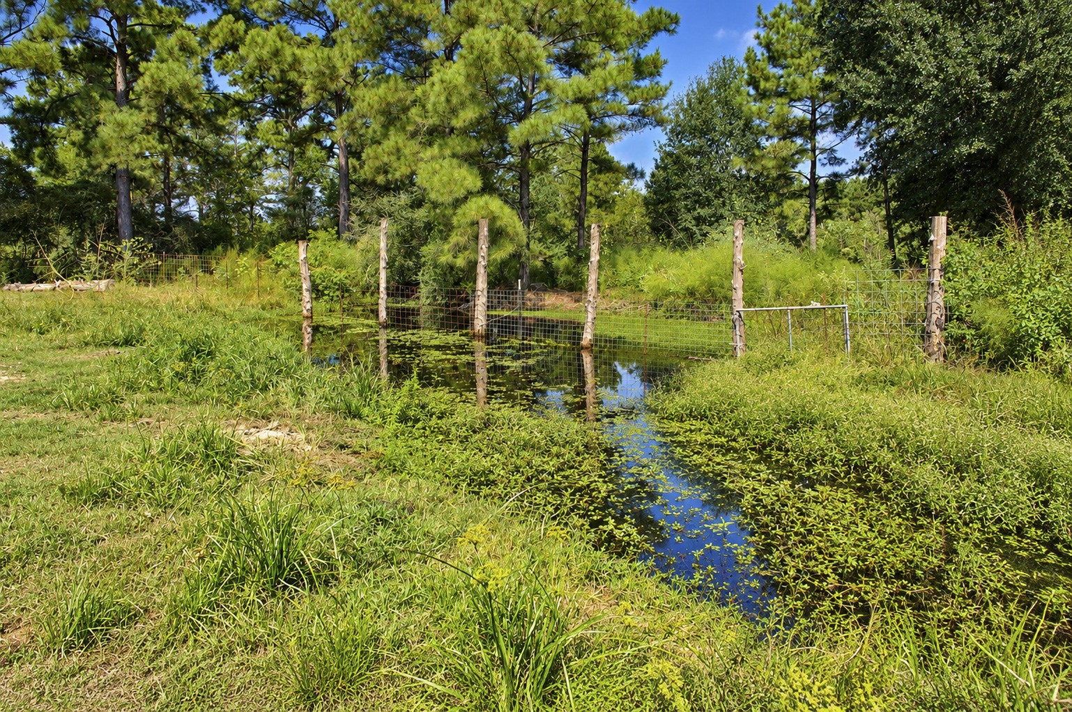 Serene retention pond, surrounded by tall trees and rustic fencing. Perfect for nature lovers seeking a peaceful retreat.