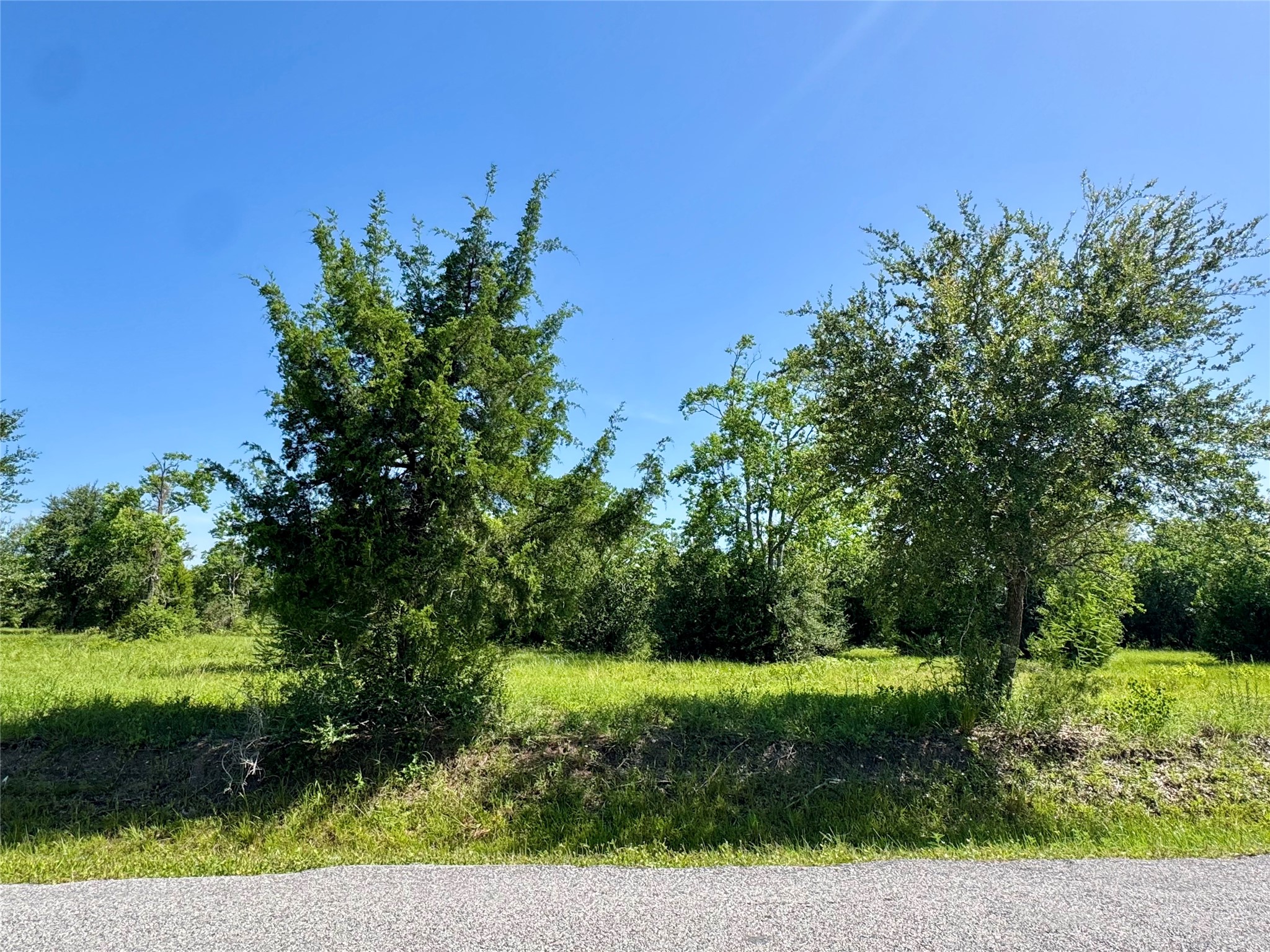 11969 7TH ST, Santa Fe, TX 77510