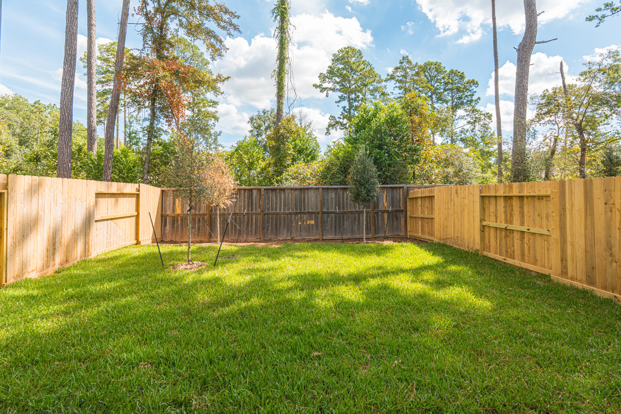 536 Red Cascade Trail, Willis, TX 77318