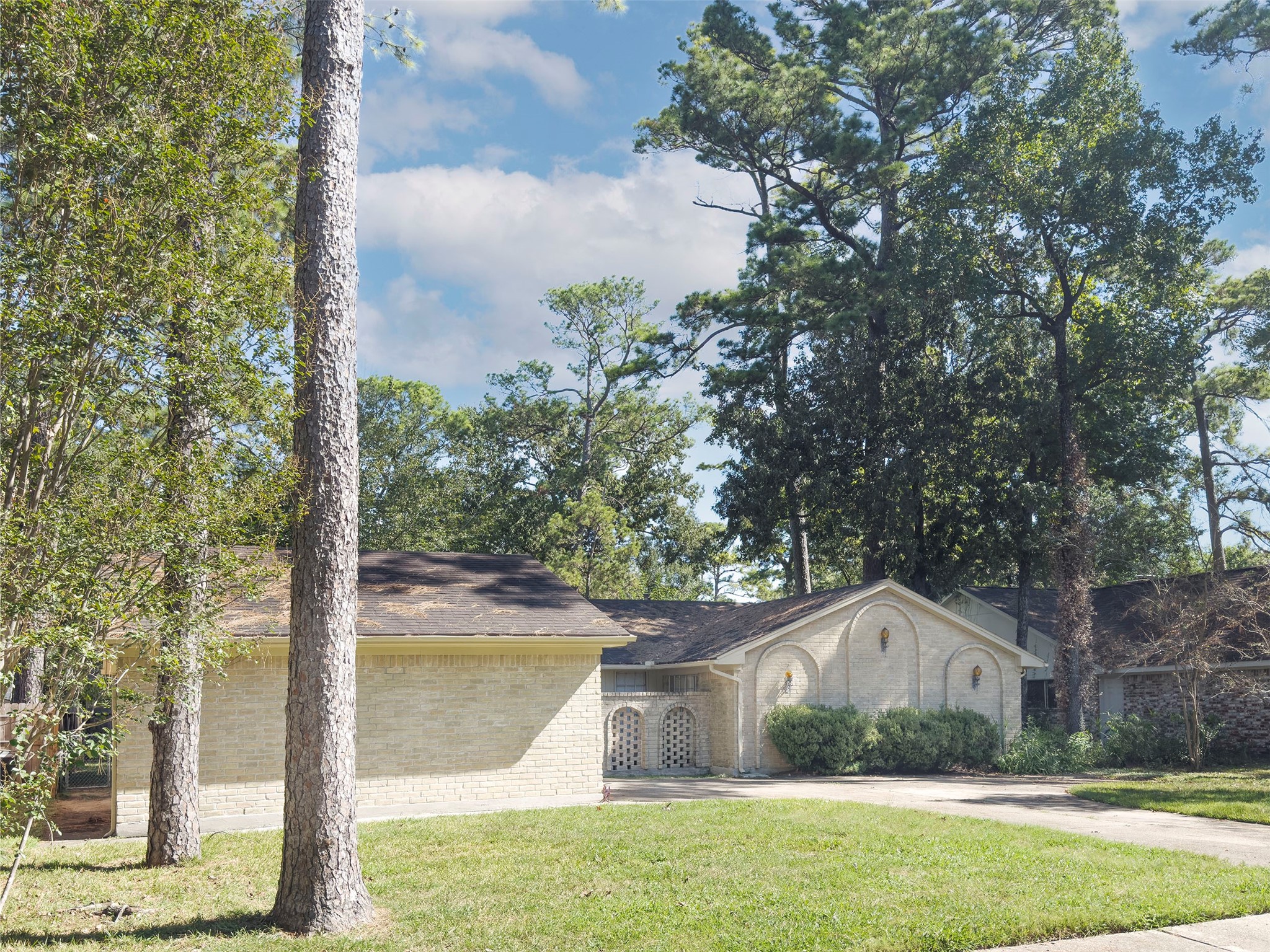 Large yard