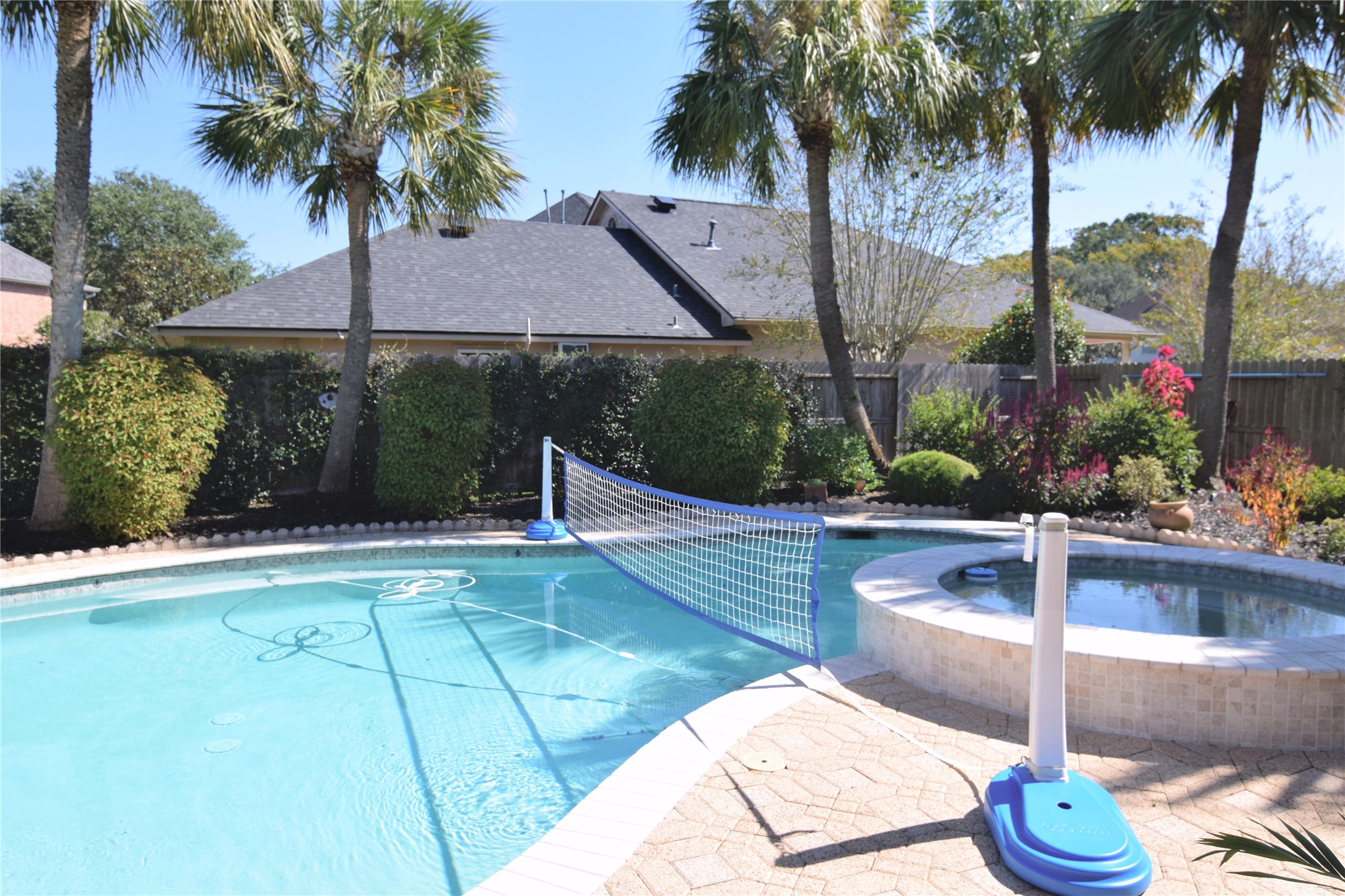 Palm Trees Around Pool