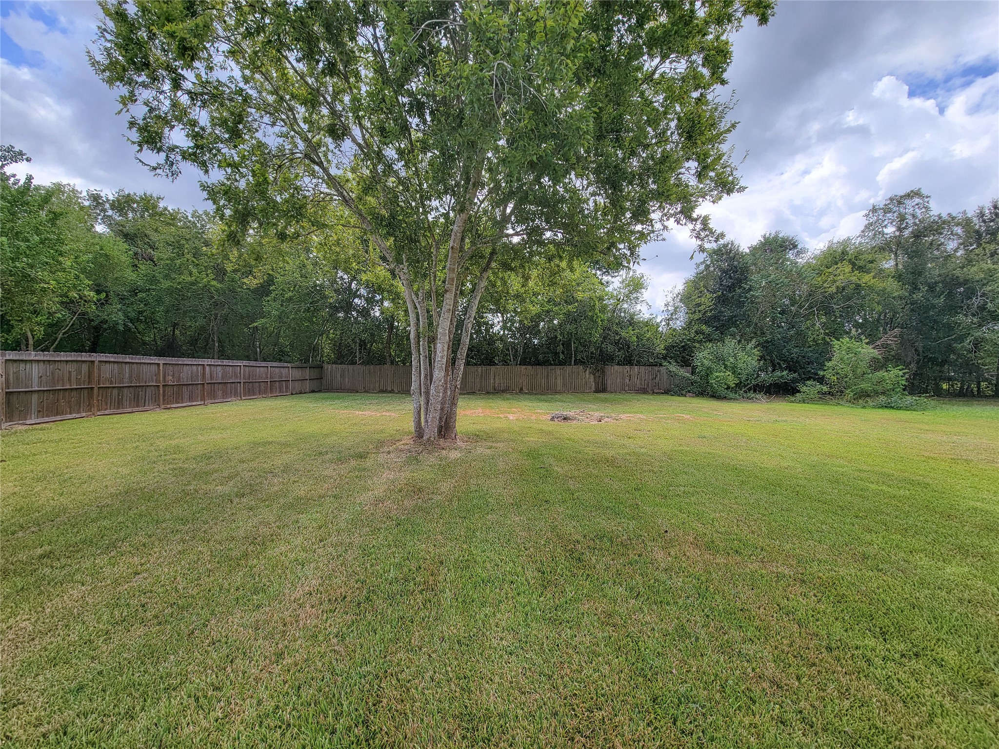 Discover tranquility in this expansive backyard, featuring lush greenery, a mature tree, and a private wooden fenceideal for outdoor activities and relaxation.
