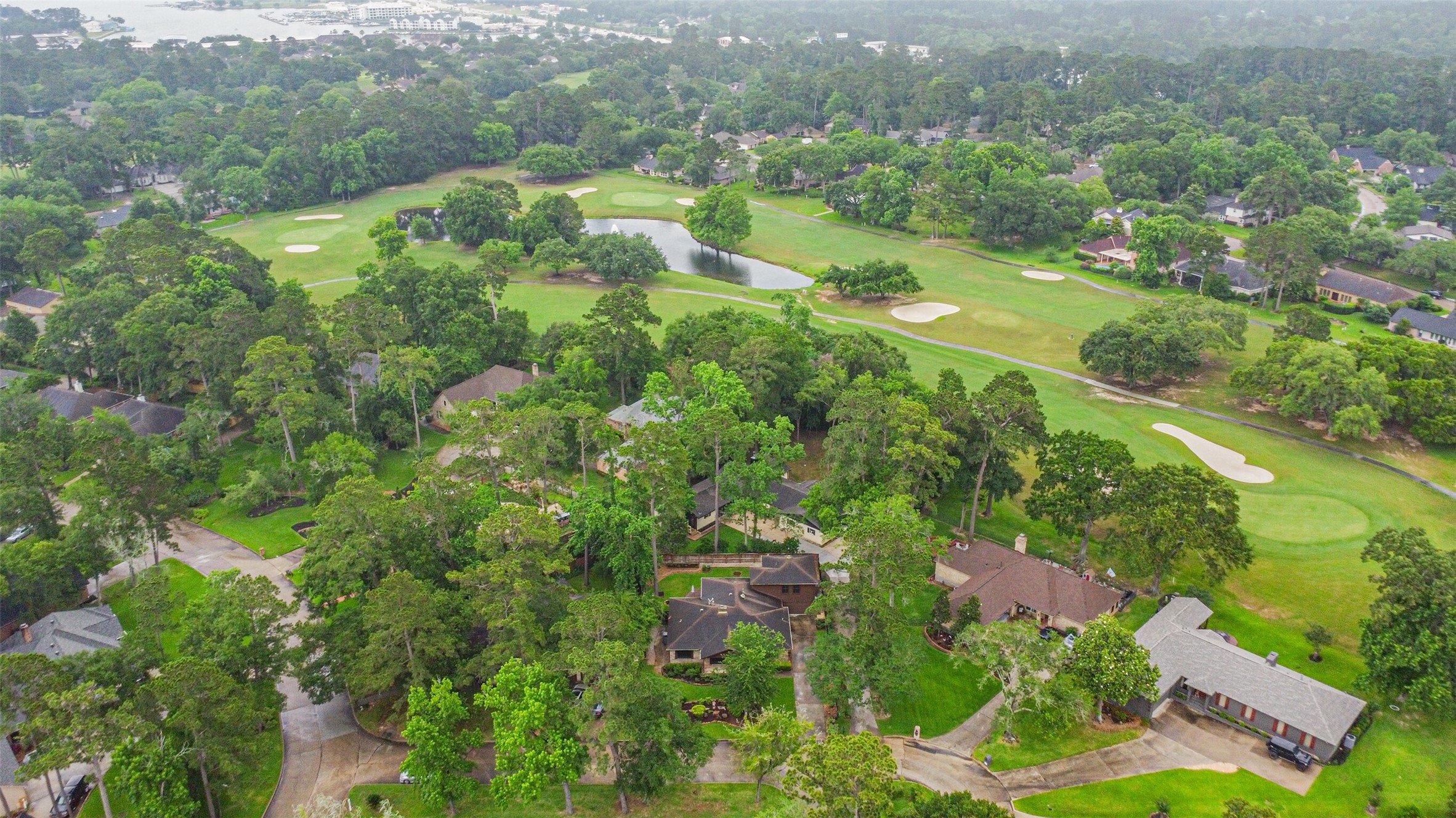 252 Springs Edge Drive, Montgomery, TX 77356