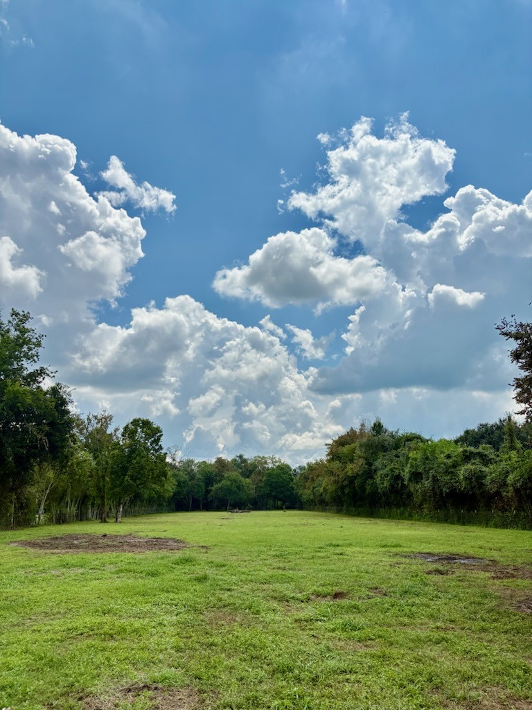 9311 Masters Road, Manvel, TX 77578