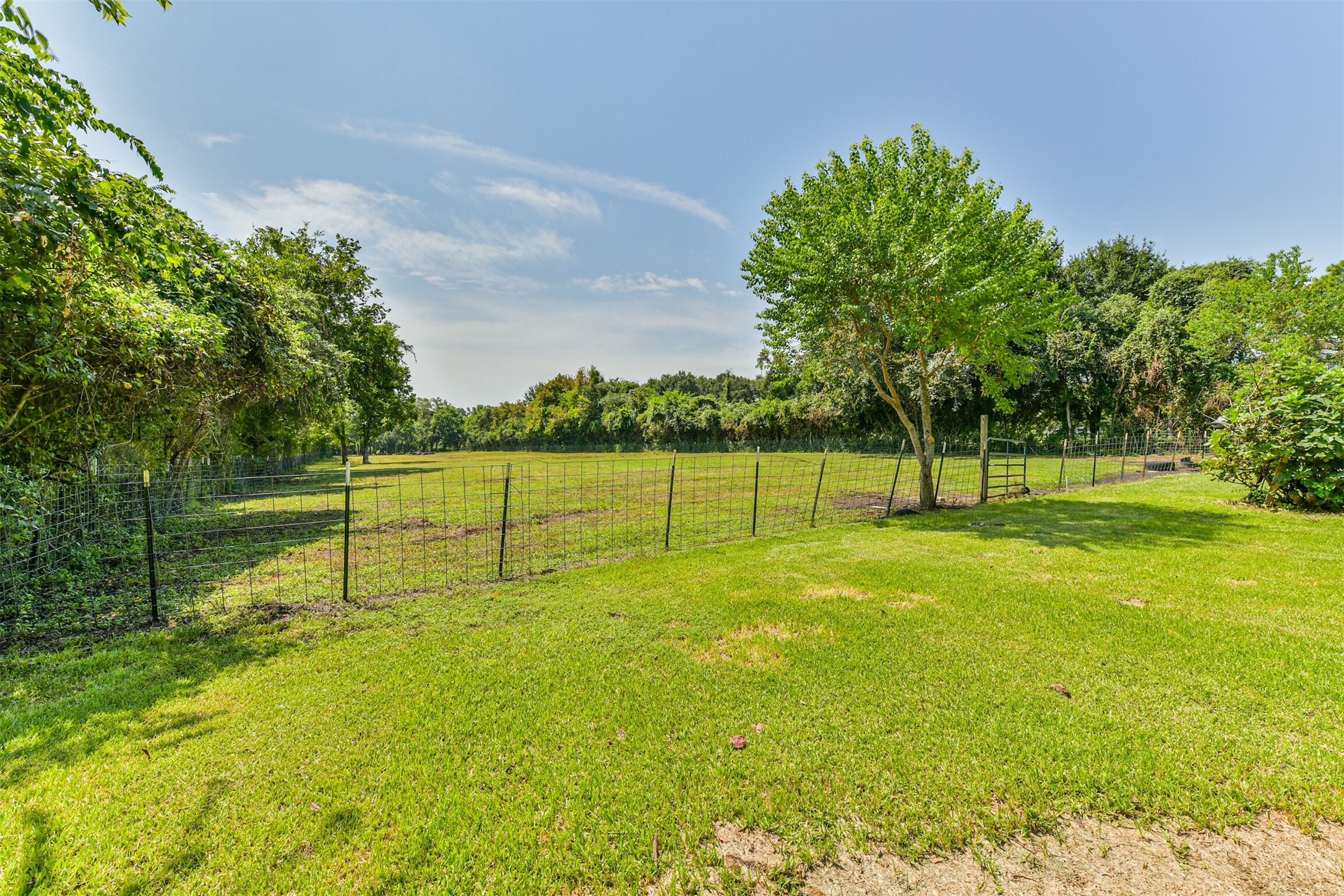 Expansive, lush backyard with open green space, perfect for relaxation and outdoor activities.