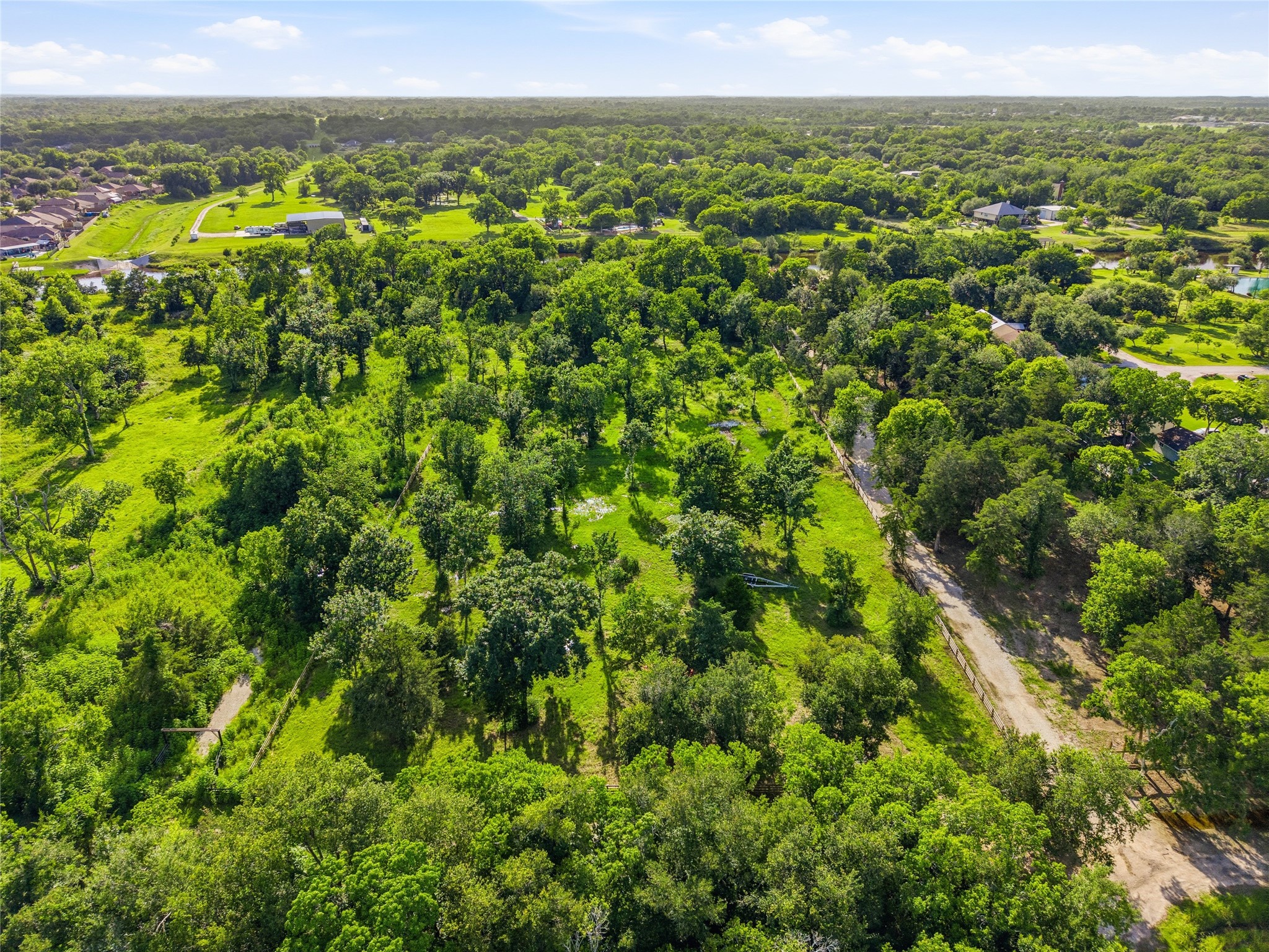Expansive, lush green land with abundant trees, offering privacy and natural beauty.
