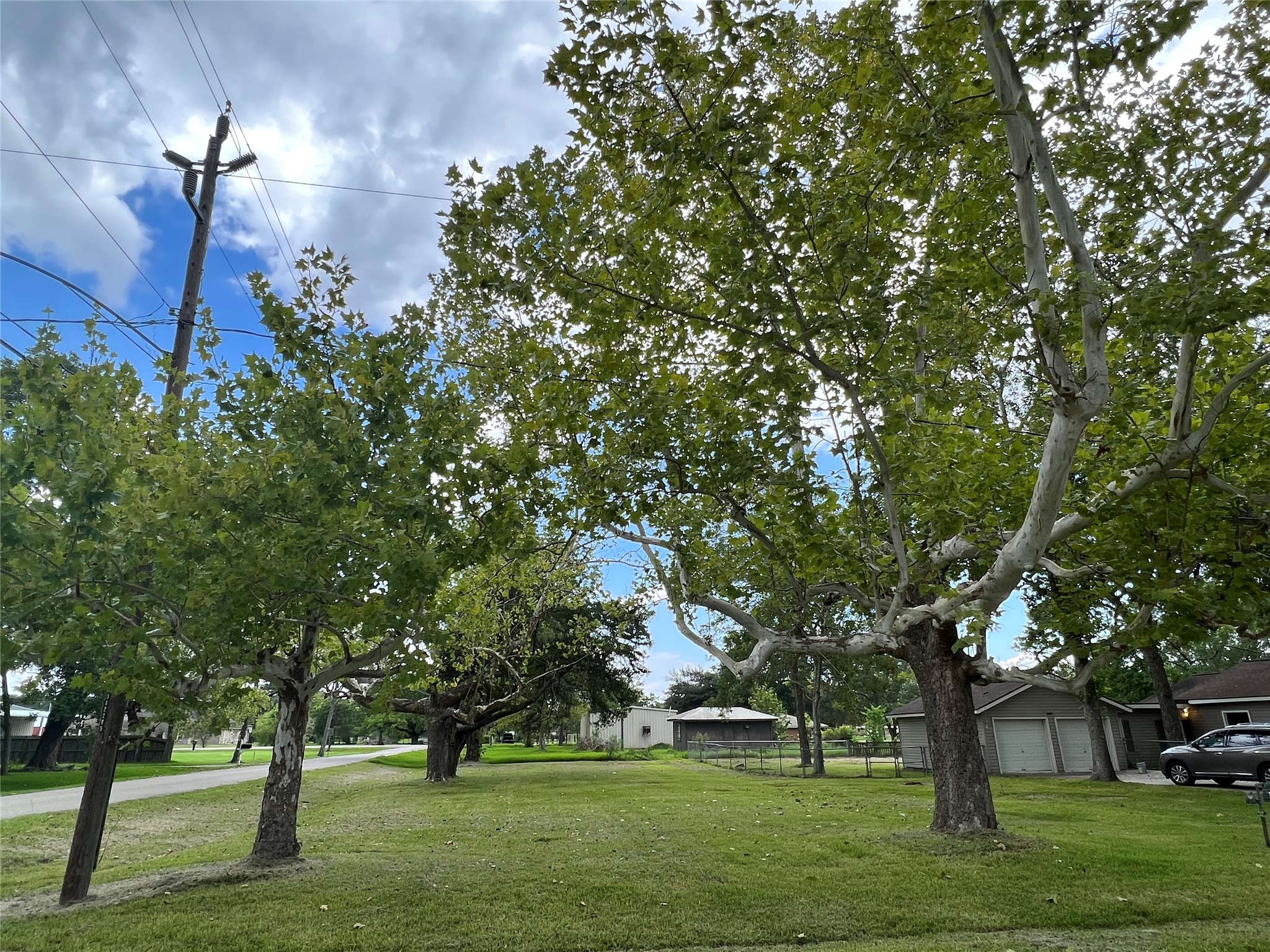 Gorgeous trees line this property and lots of mature producing Pecan trees as well!