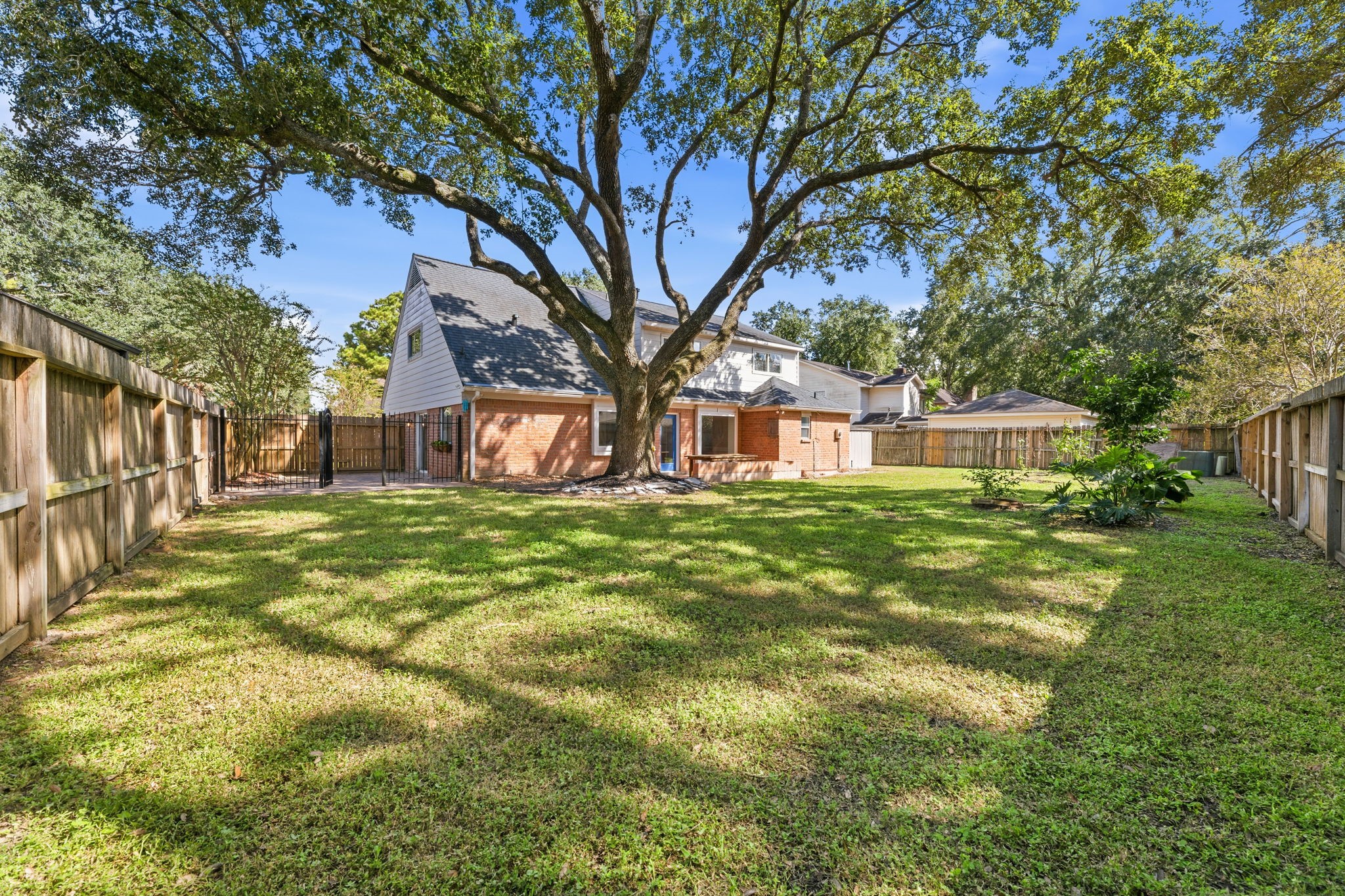 Oversized backyard lot with giant oak tree!