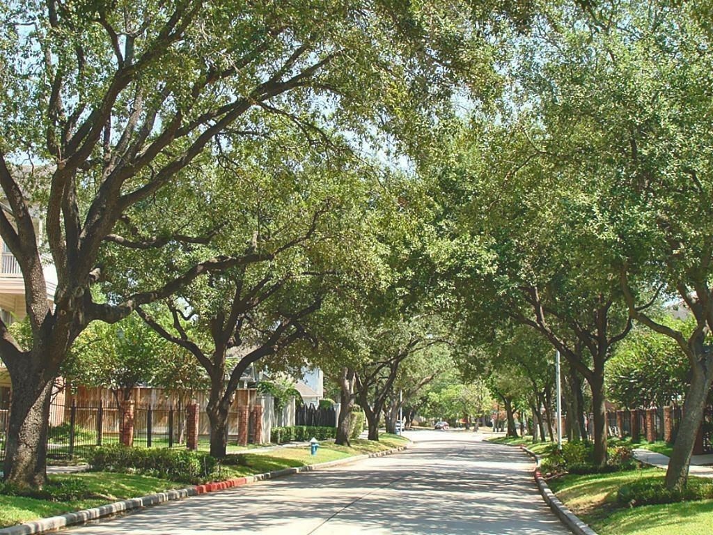 4041 Law Street, #606, Houston, TX 77005 4041 Law Street, #606, Houston, TX 77005