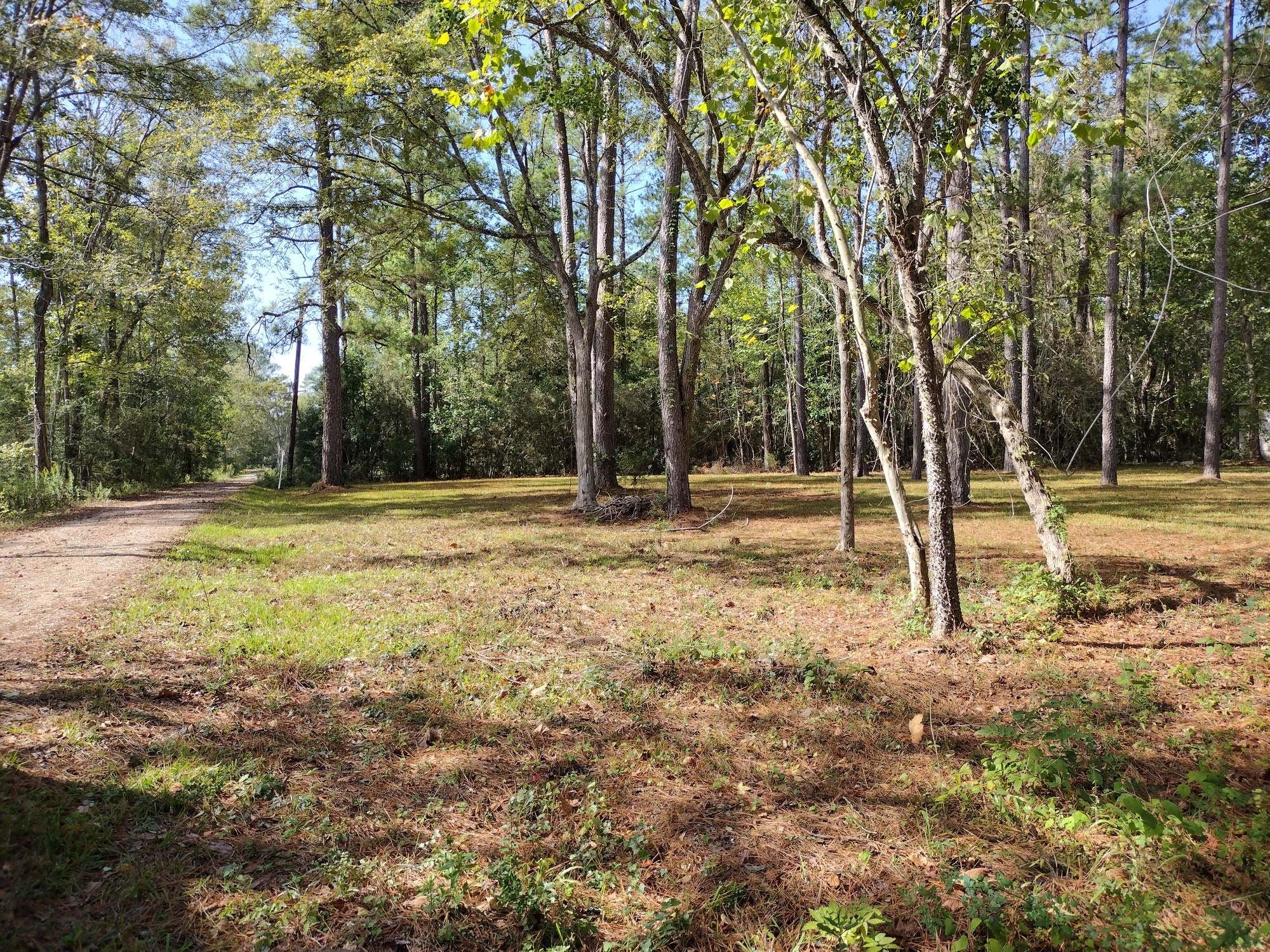 0 Barbil Lane, Huffman, TX 77336
