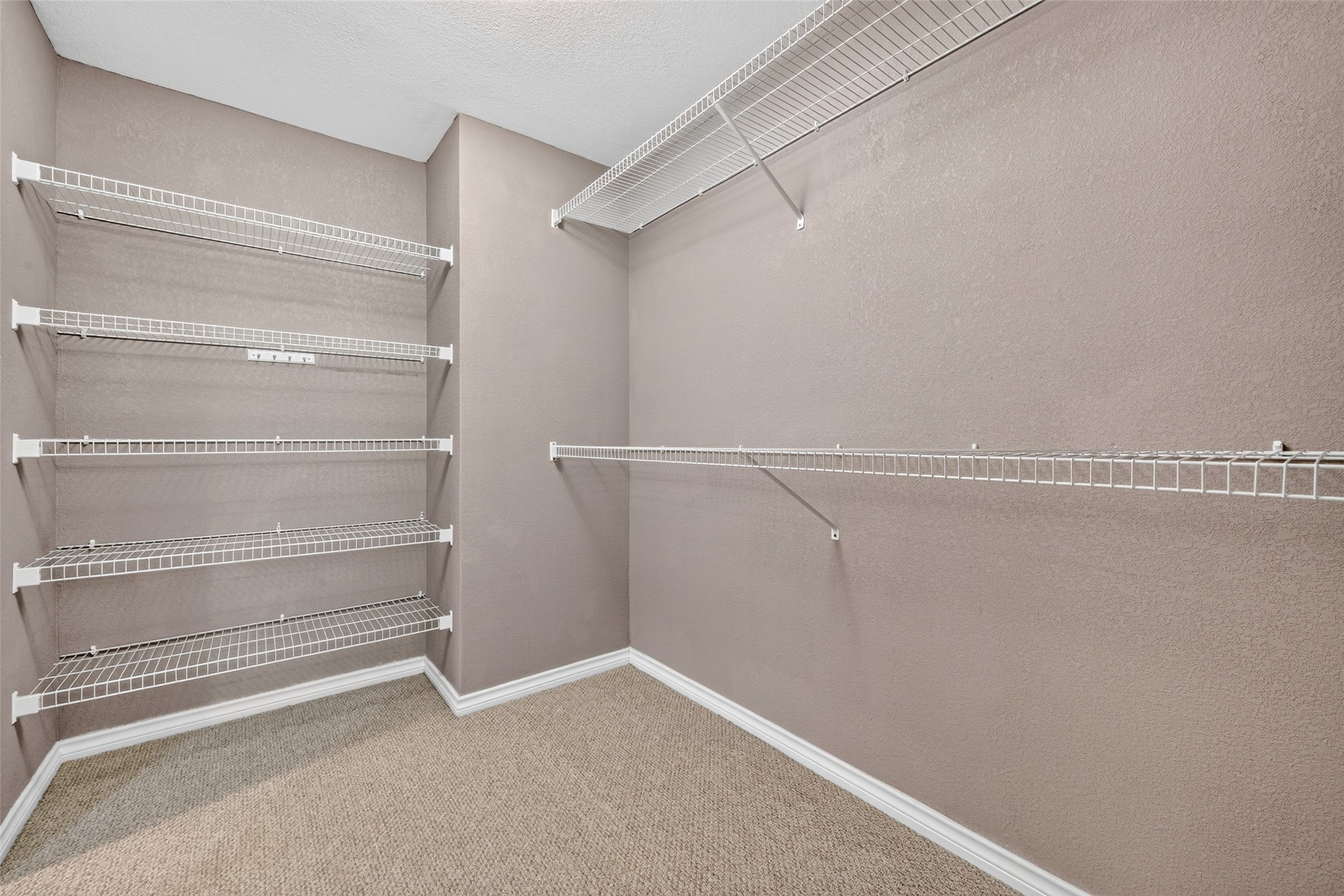 3107 Mona Lee Lane, Houston, TX 77080