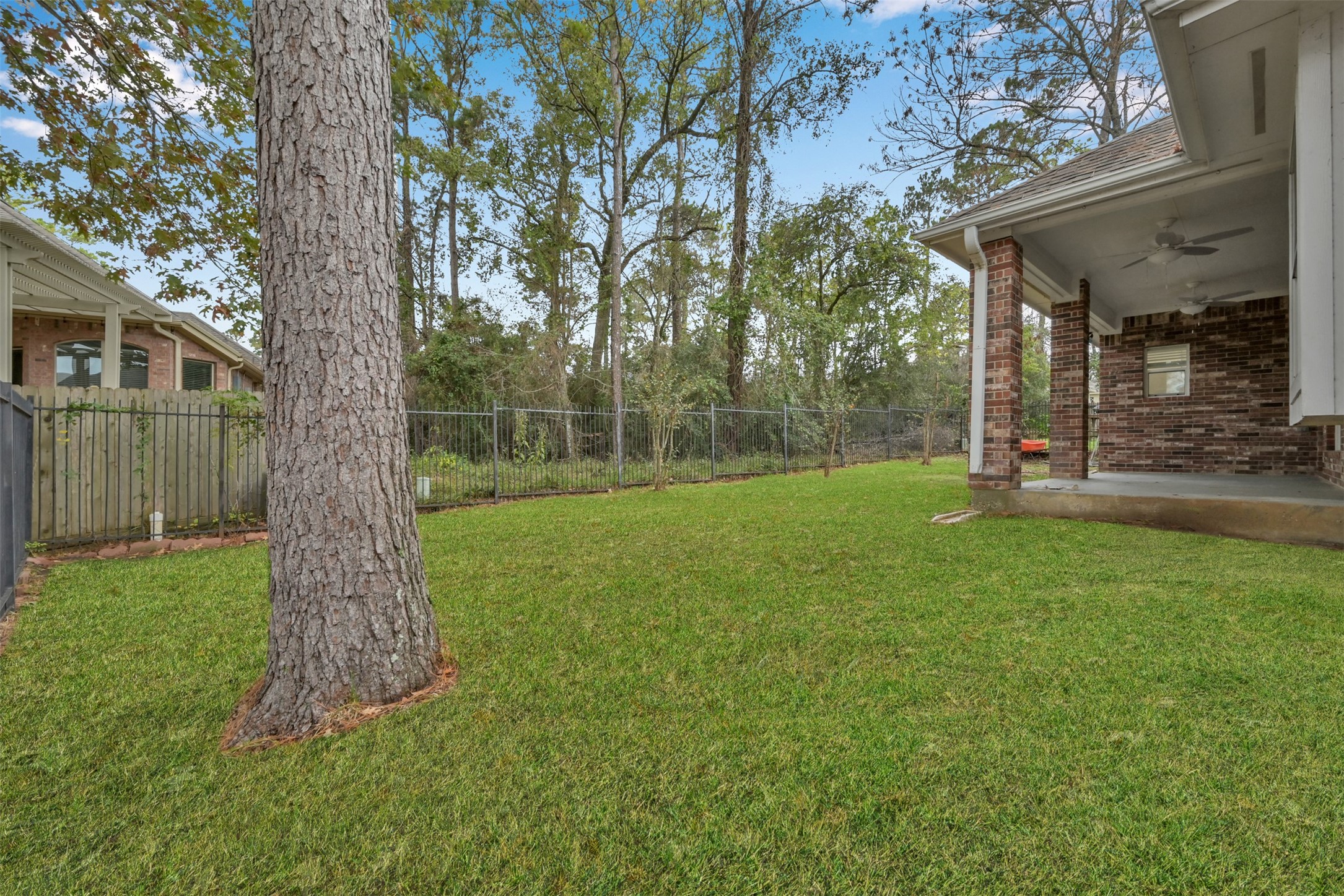 Back yard. Right side.