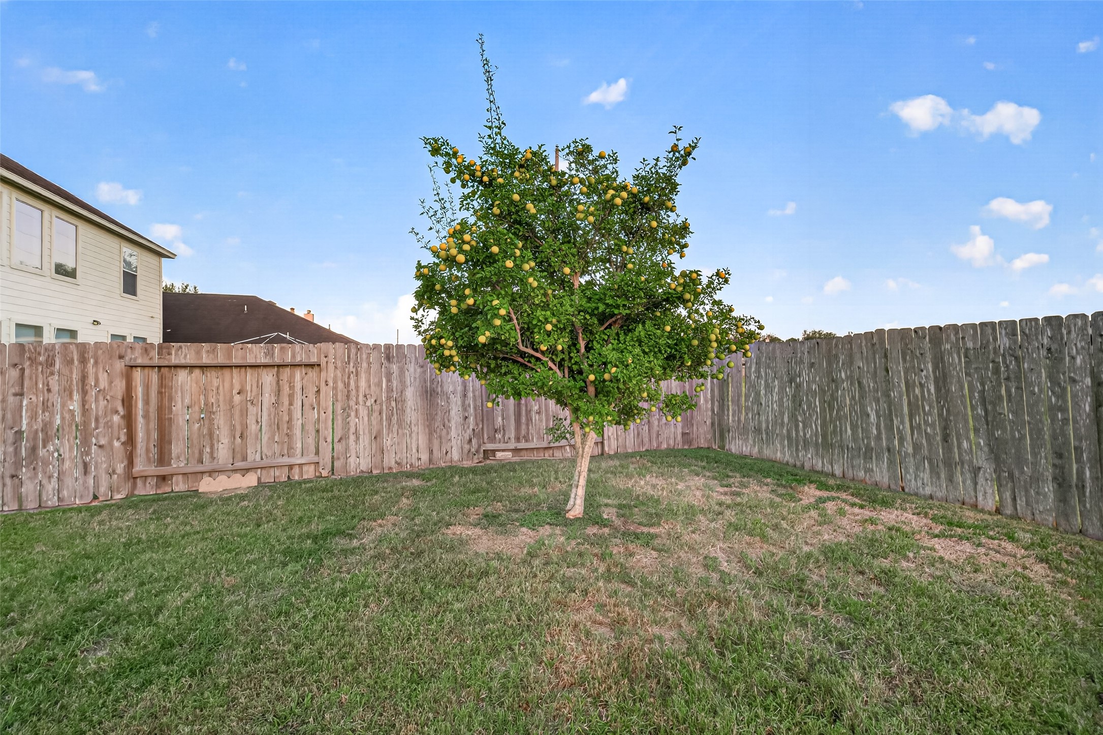 3411 Sparta Drive, Missouri City, TX 77459