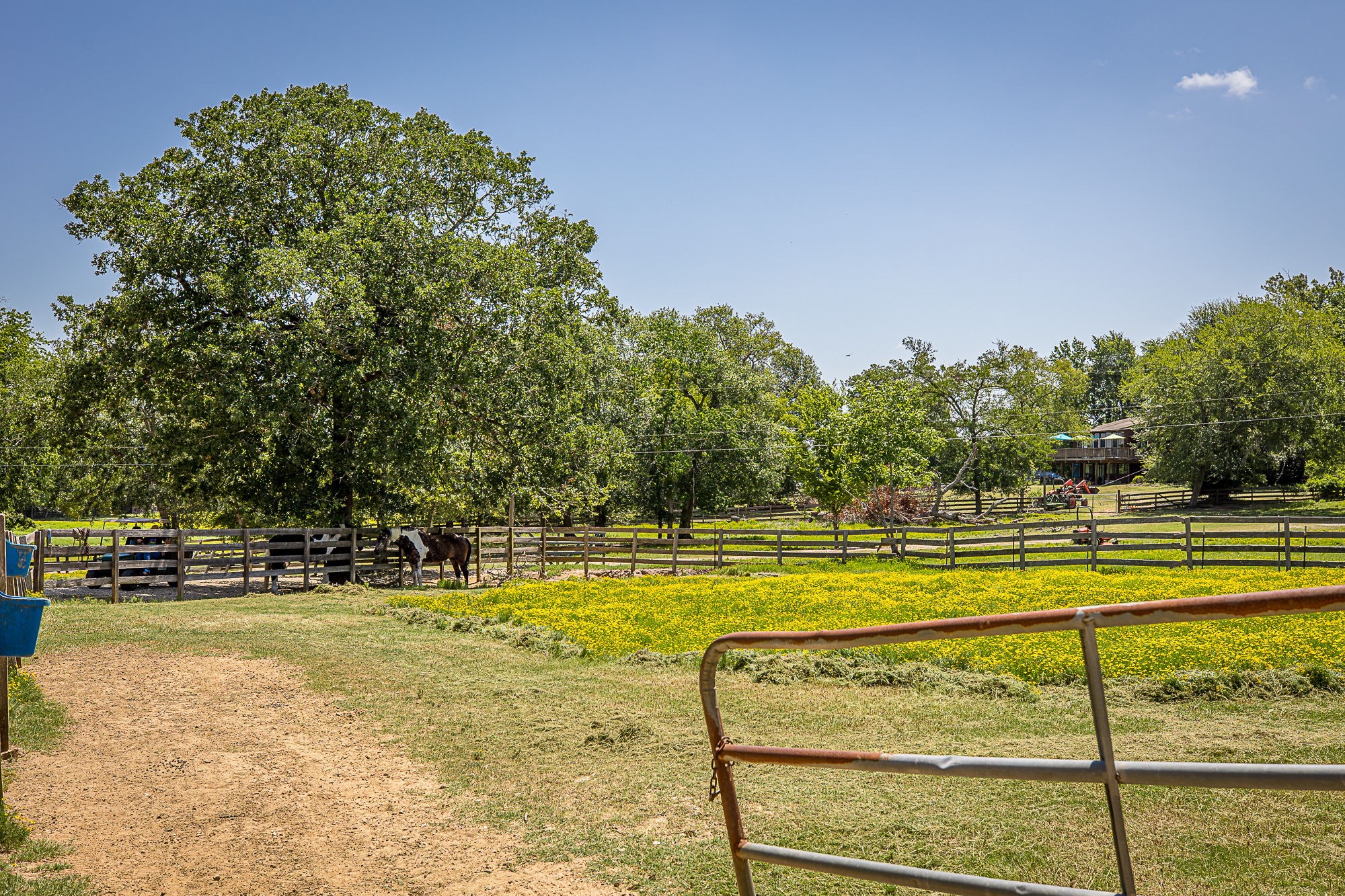 26298 Hwy 105, Montgomery, TX 77356