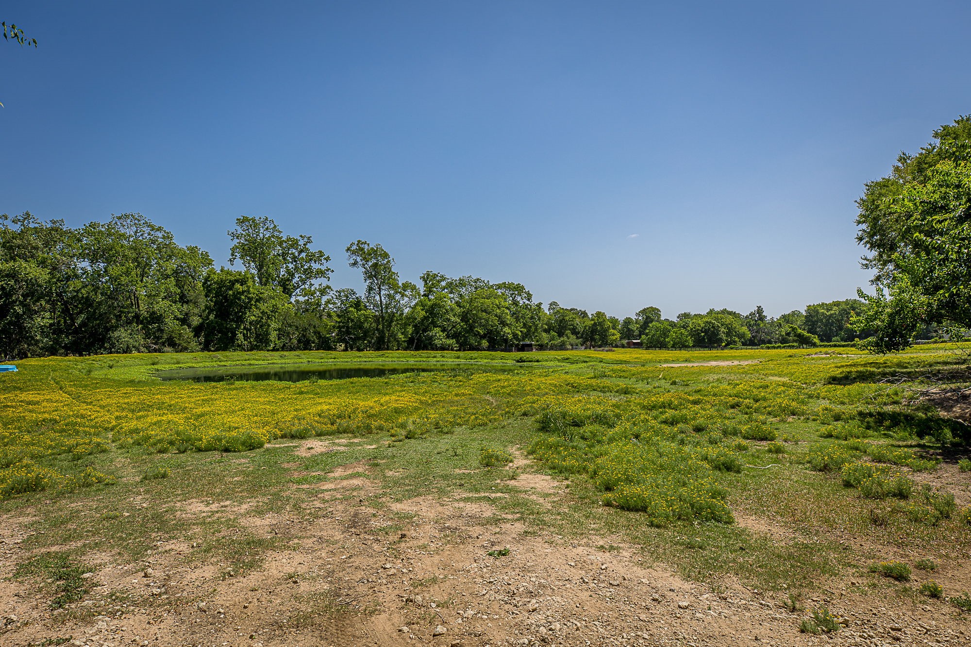 26298 Hwy 105, Montgomery, TX 77356