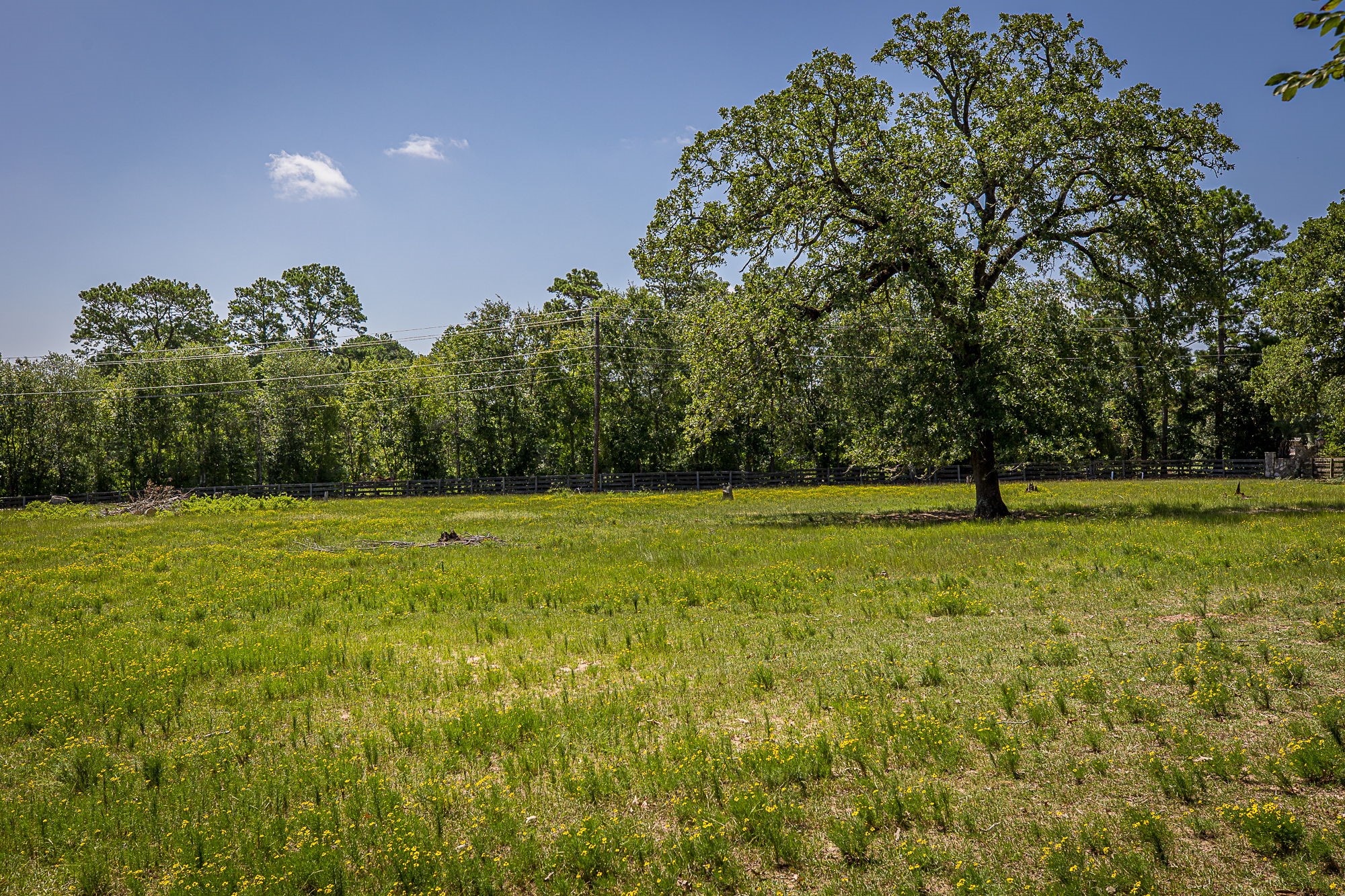 26298 Hwy 105, Montgomery, TX 77356