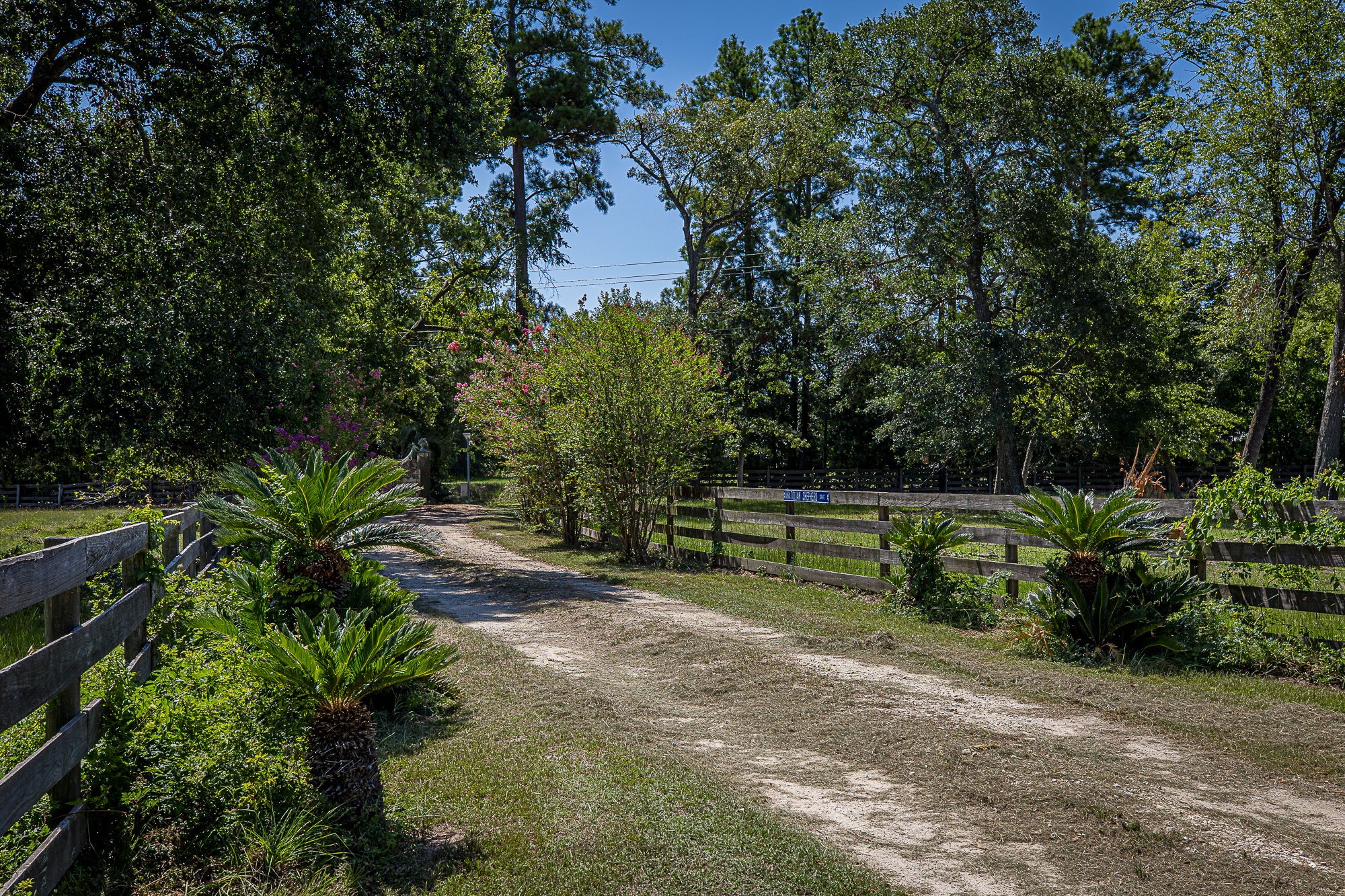 26298 Hwy 105, Montgomery, TX 77356