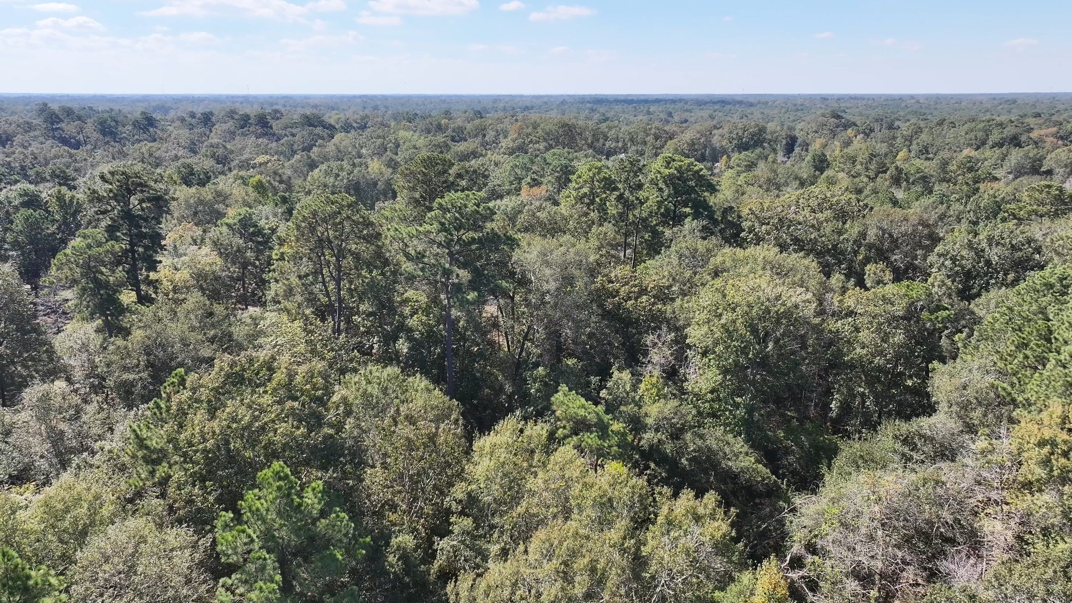 TBD White Oak Dr, Conroe, TX 77306