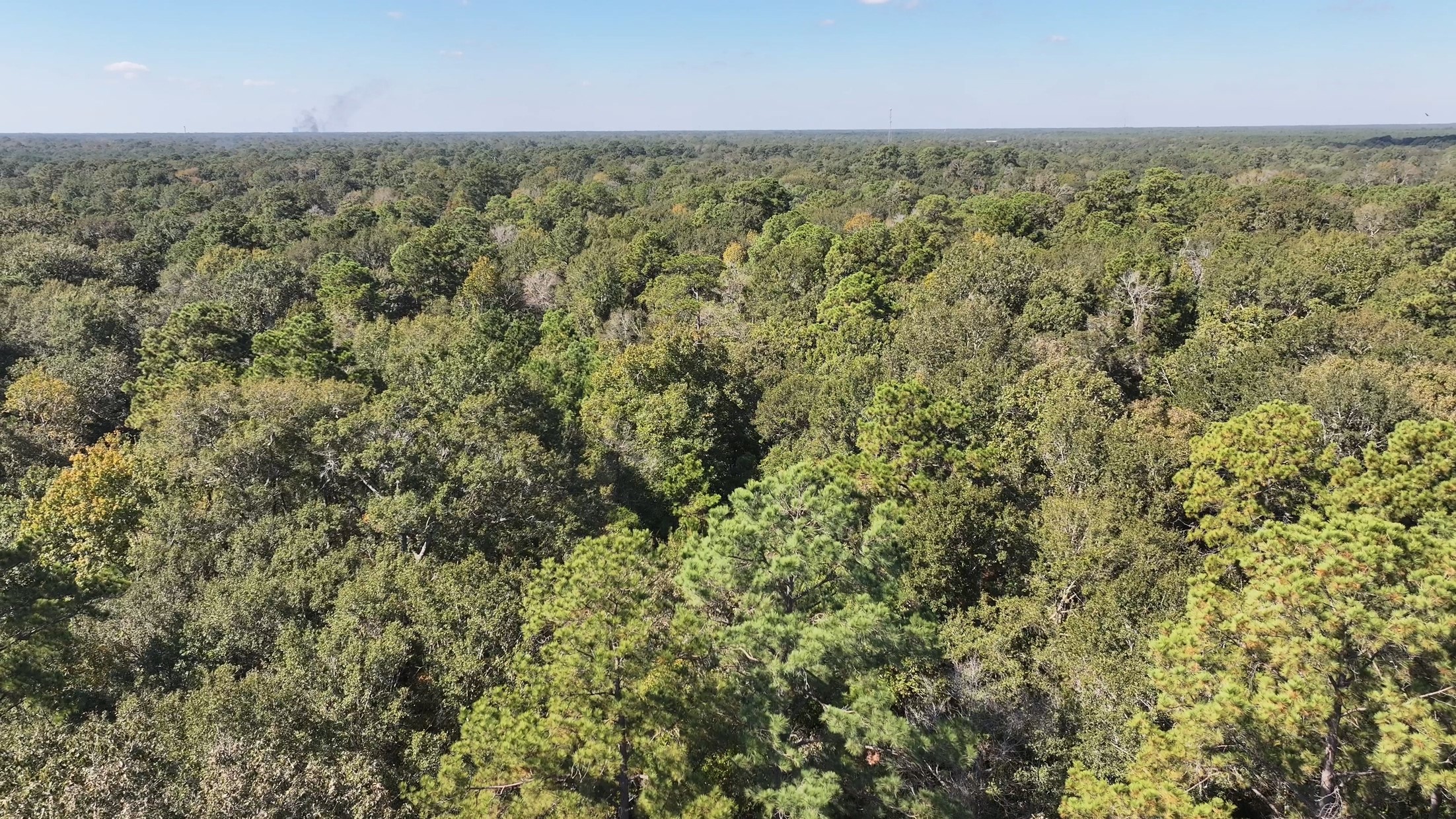 TBD White Oak Dr, Conroe, TX 77306