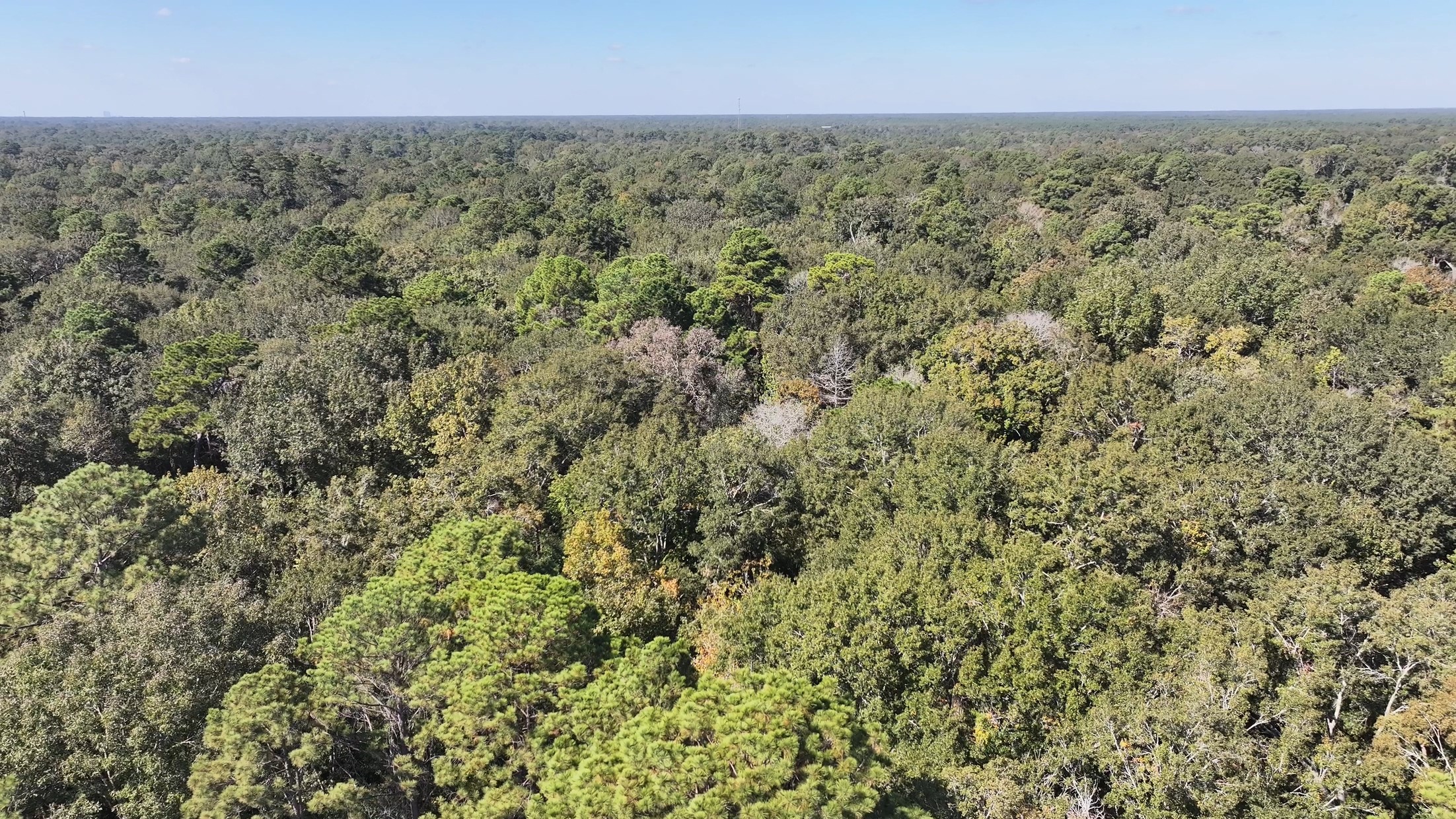 TBD White Oak Dr, Conroe, TX 77306