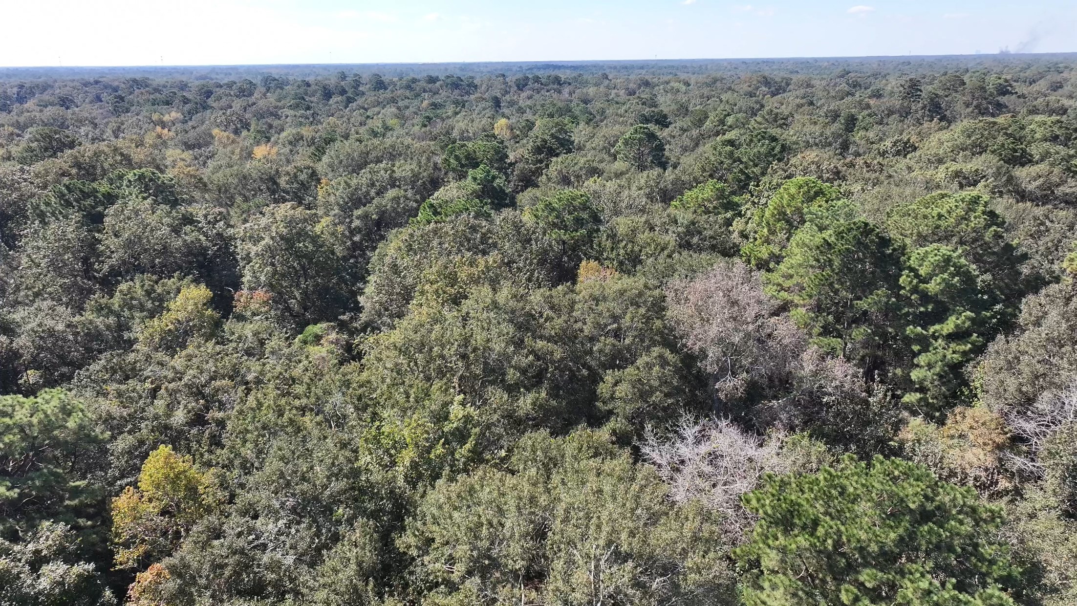 TBD White Oak Dr, Conroe, TX 77306
