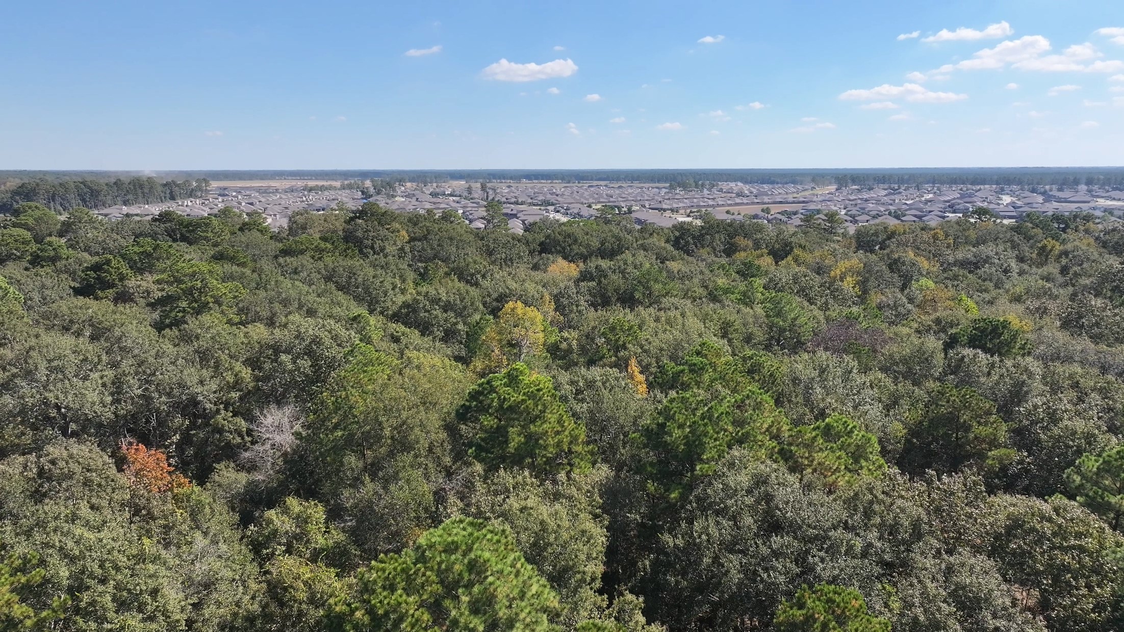 TBD White Oak Dr, Conroe, TX 77306
