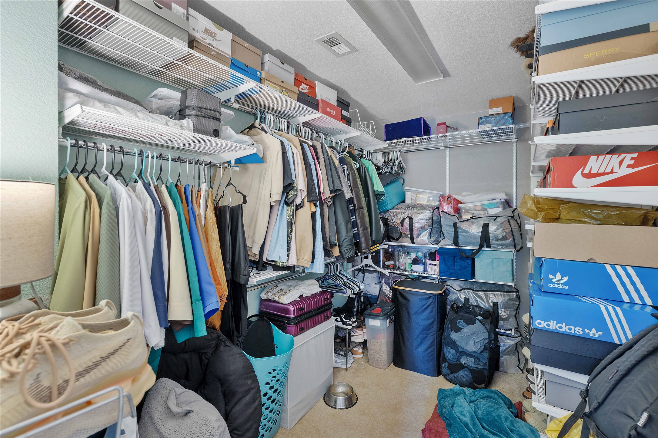 Spacious walk-in closet with organized shelving and ample hanging space, perfect for storing clothing and shoes.