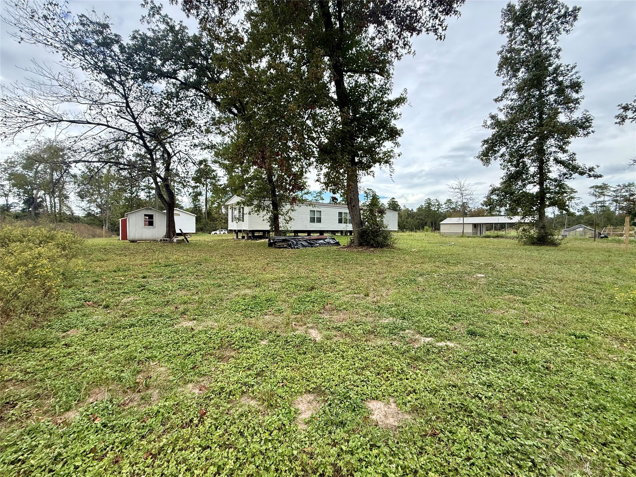 Plenty of backyard also